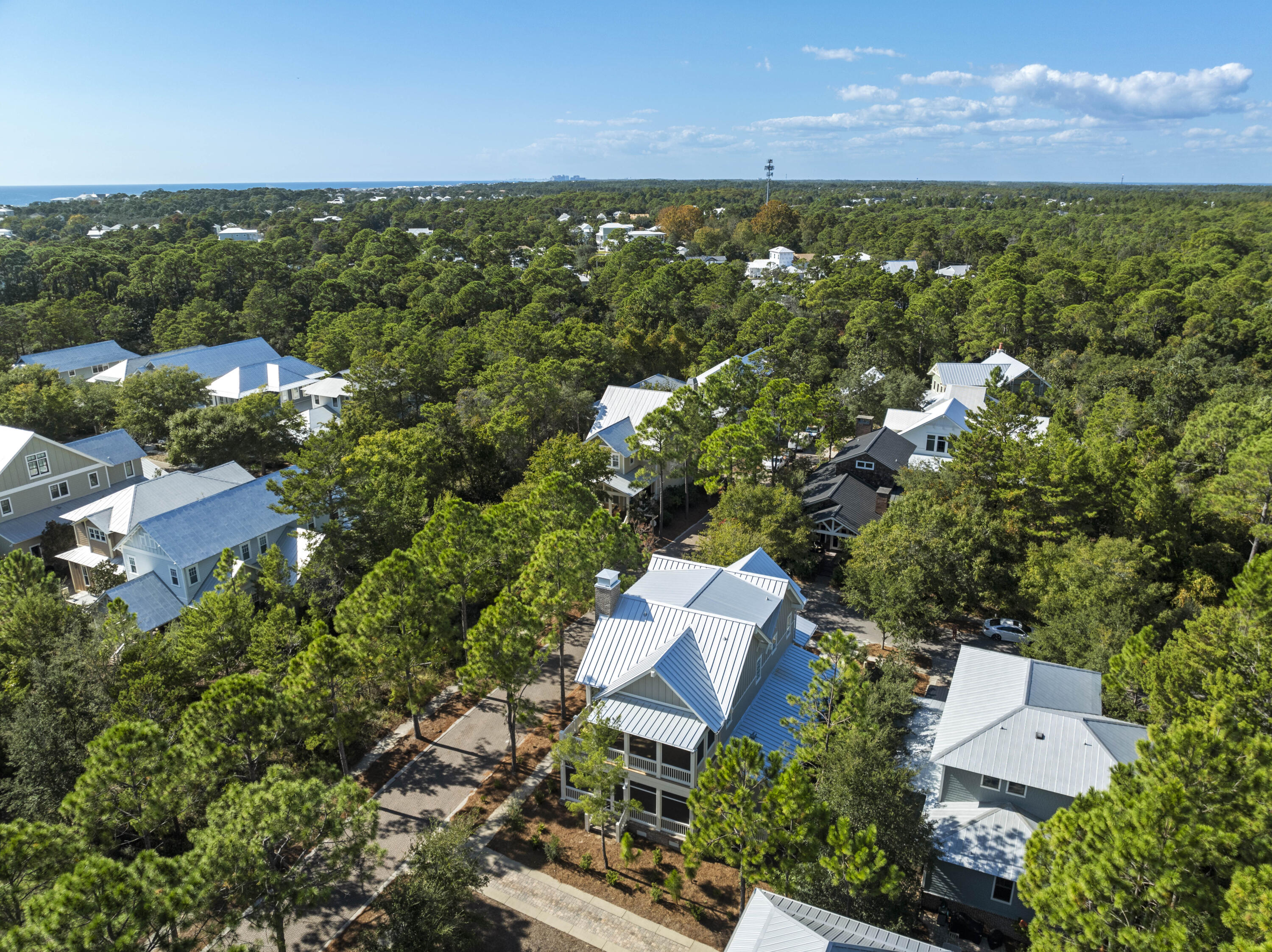 FOREST LAKES - Residential