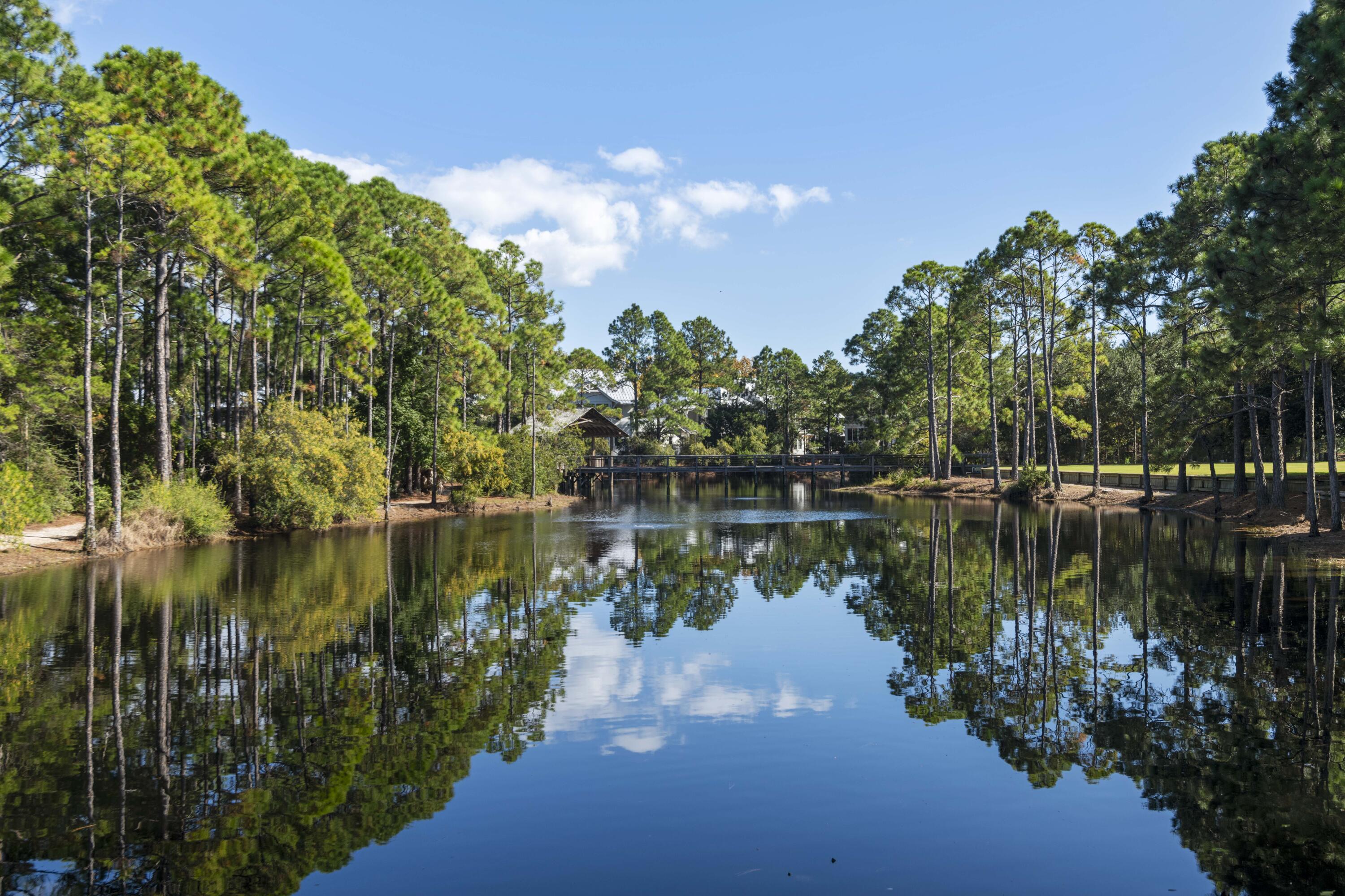 FOREST LAKES - Residential