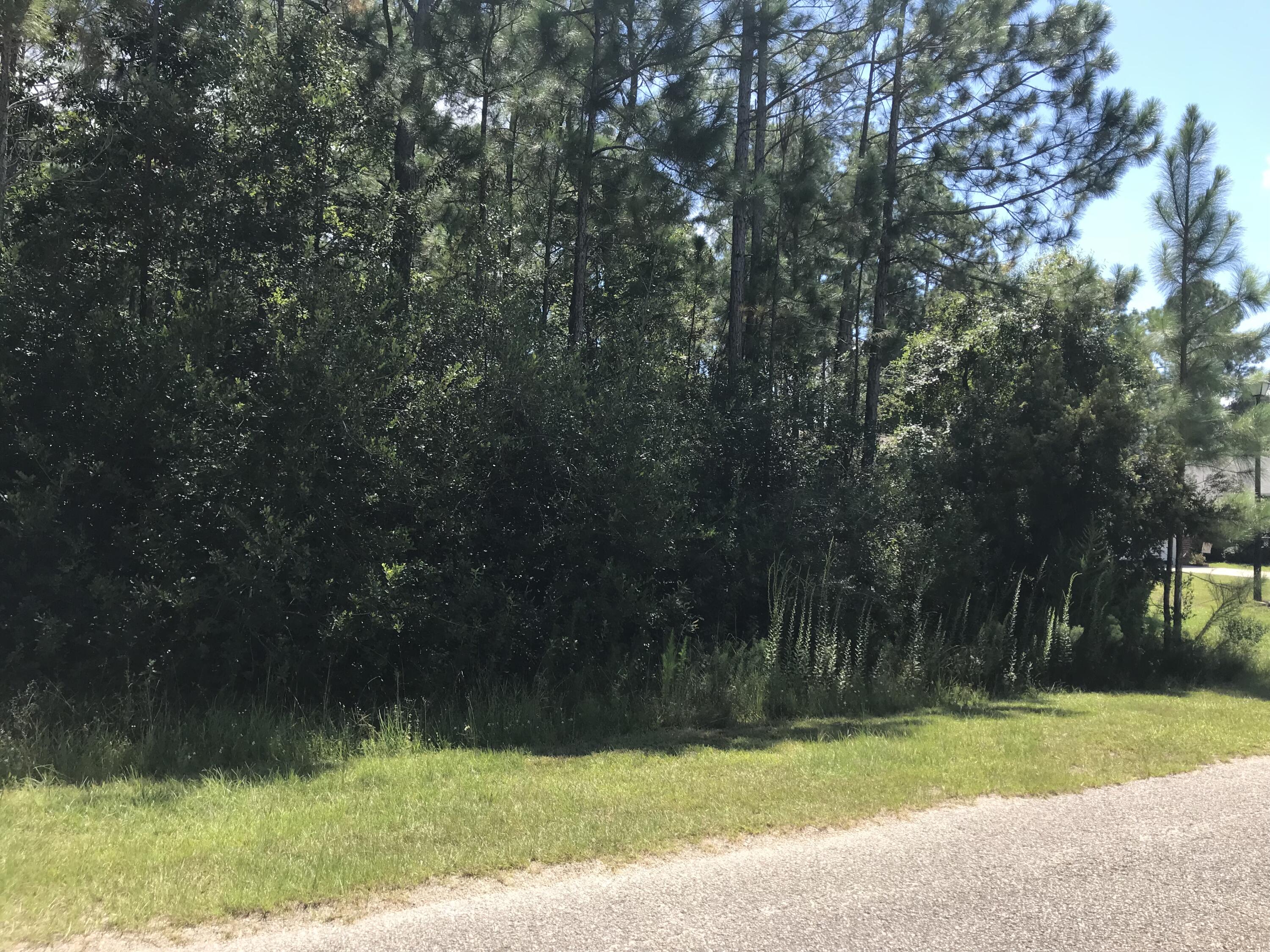 HOLLEY BY THE SEA - Land