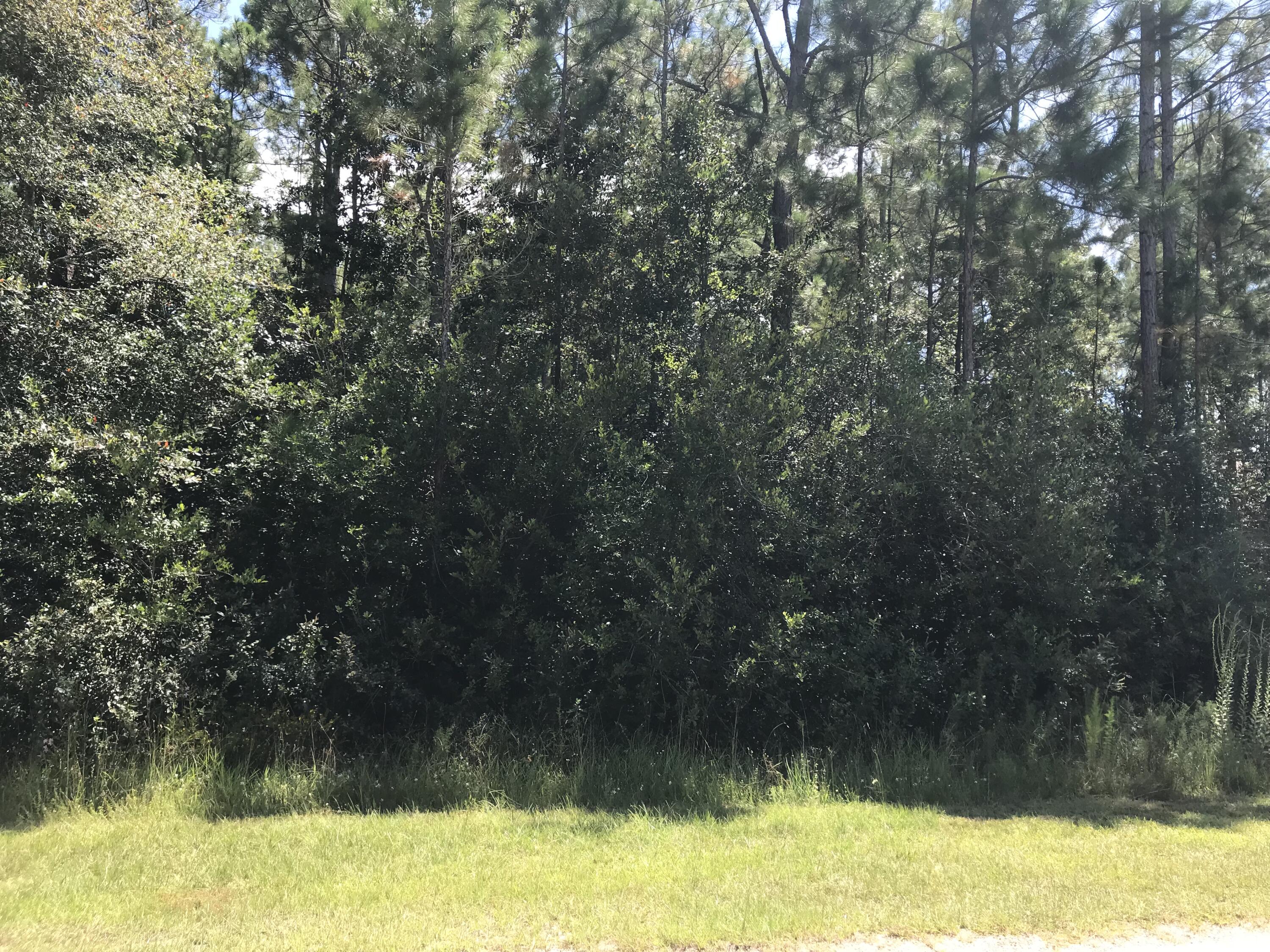 HOLLEY BY THE SEA - Land