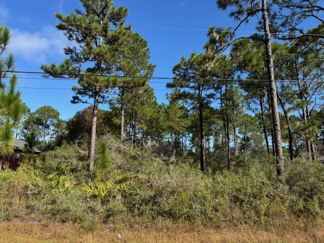 HOLLEY BY THE SEA - Land