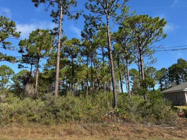 HOLLEY BY THE SEA - Land