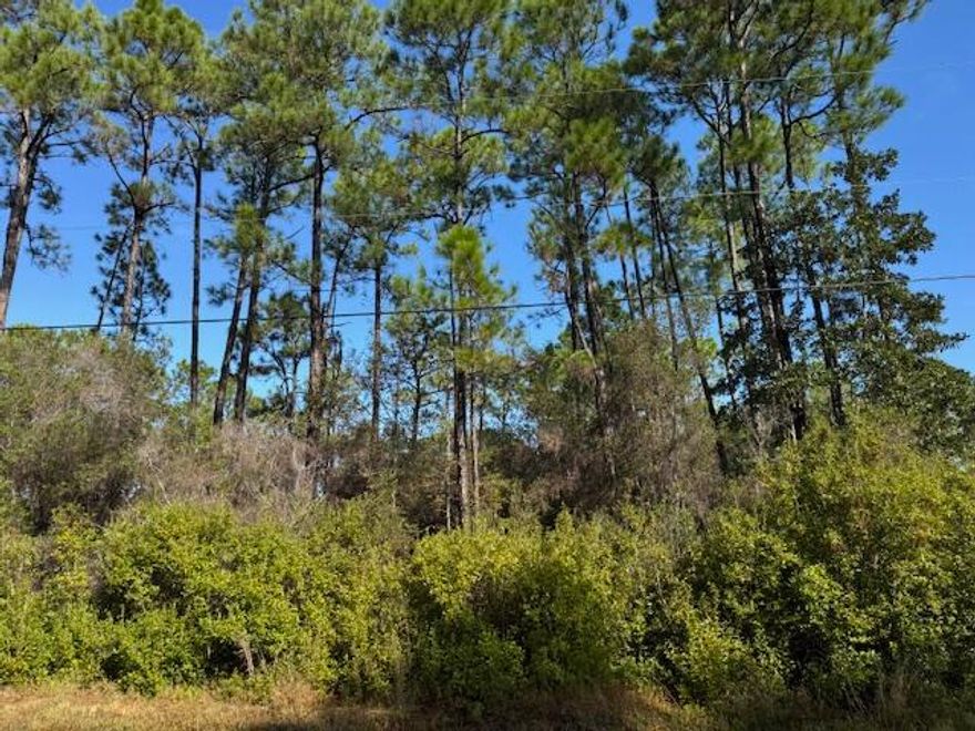 Great Lot to build your dream home in Holley by the Sea!  Great amenities with 3 pools, gym, tennis court, and rec center; beach access, and party room to rent!
