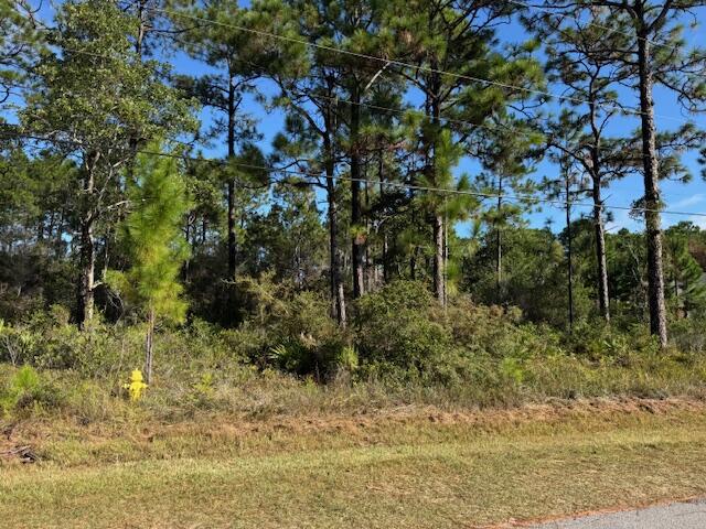 HOLLEY BY THE SEA - Land