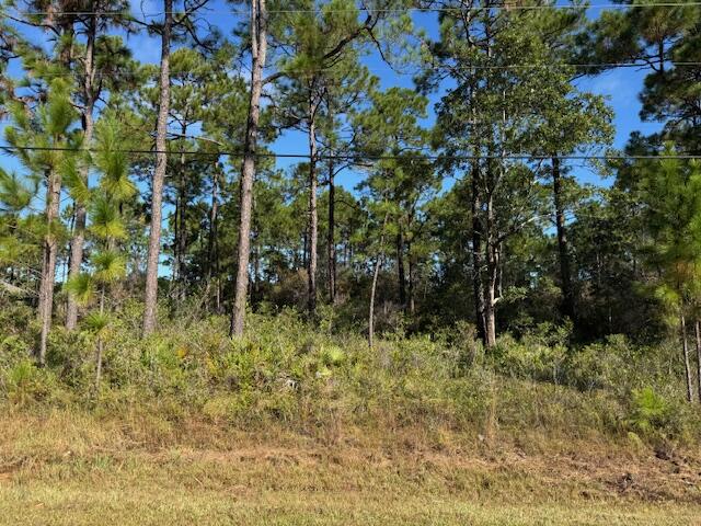 HOLLEY BY THE SEA - Land