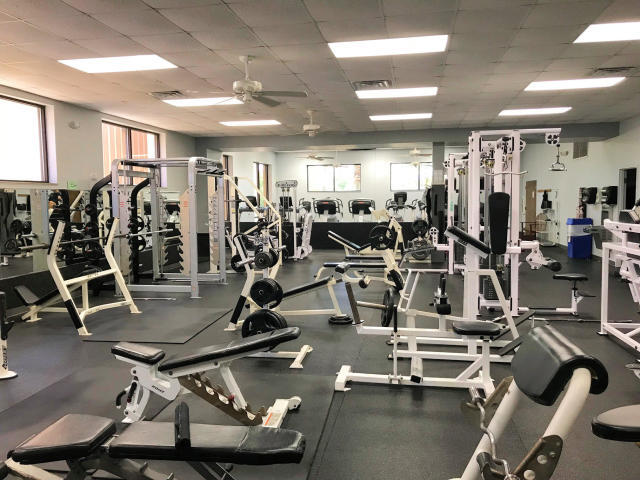 HOLLEY BY THE SEA - Land