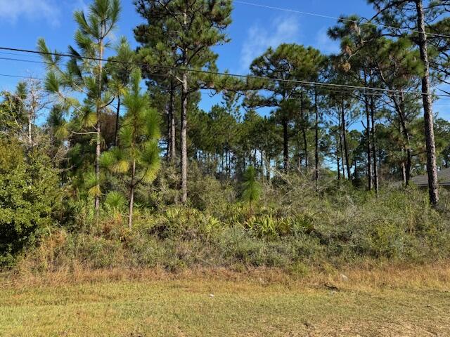 HOLLEY BY THE SEA - Land