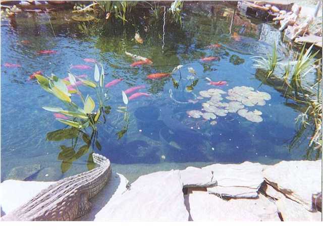 CAMILLE ESTATES - Residential