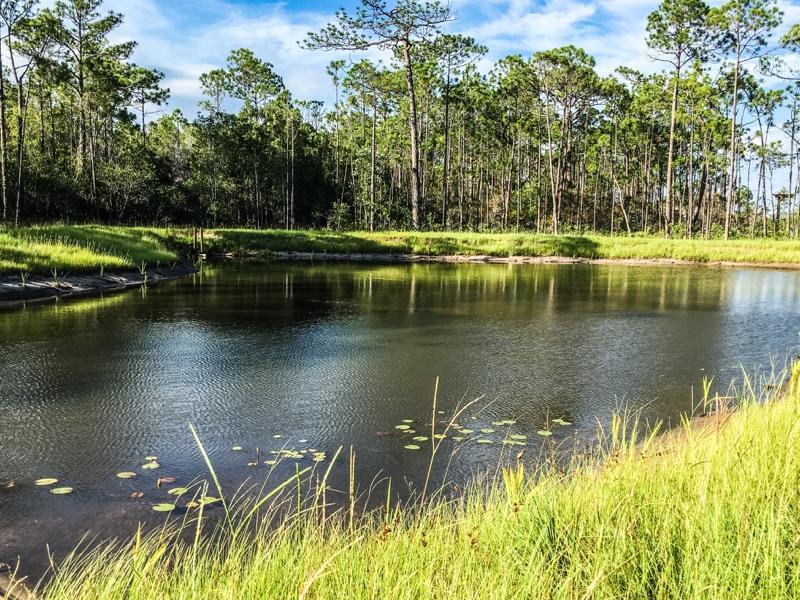 RidgeWalk - Residential