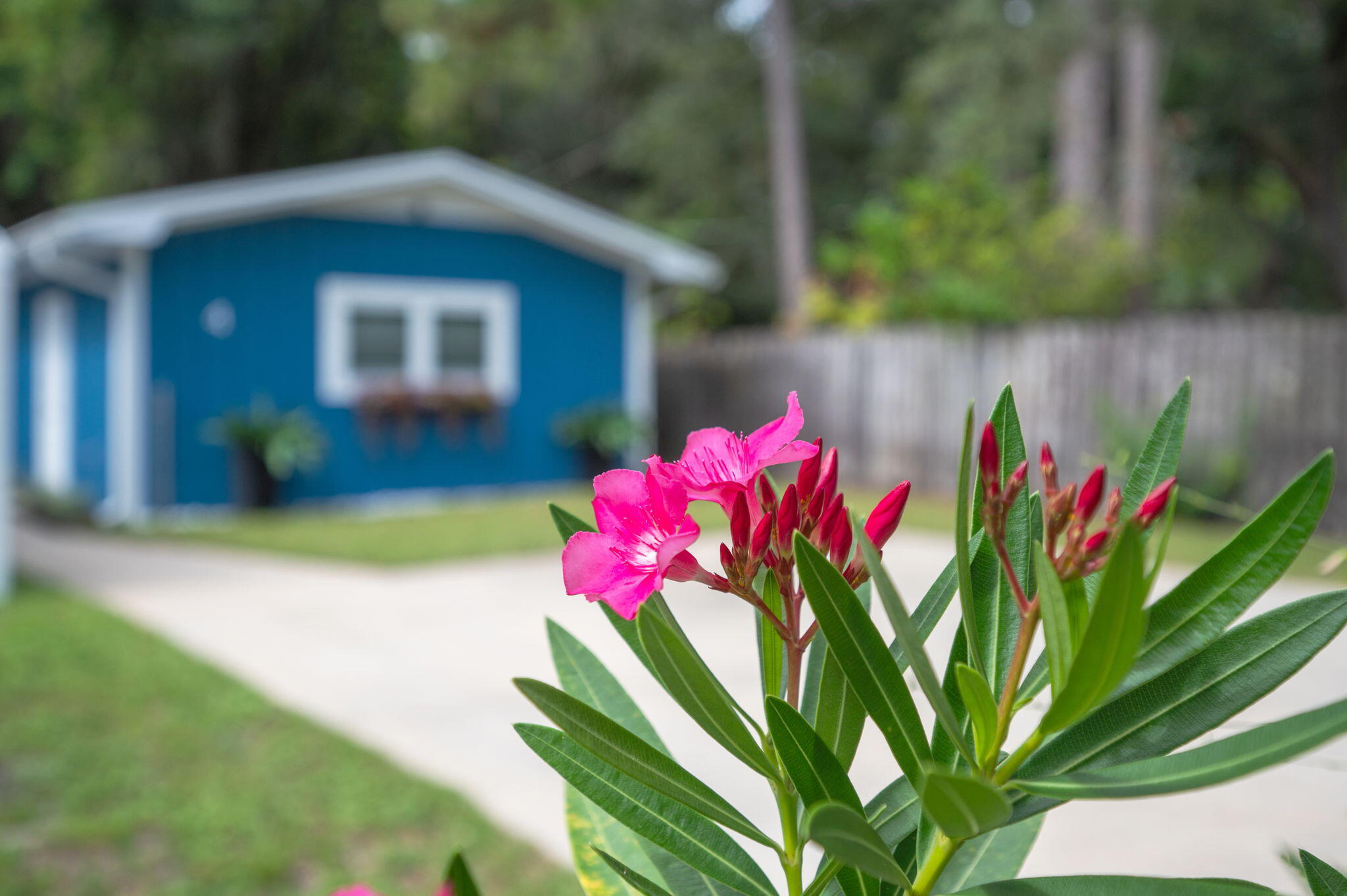 PORT DIXIE - Residential
