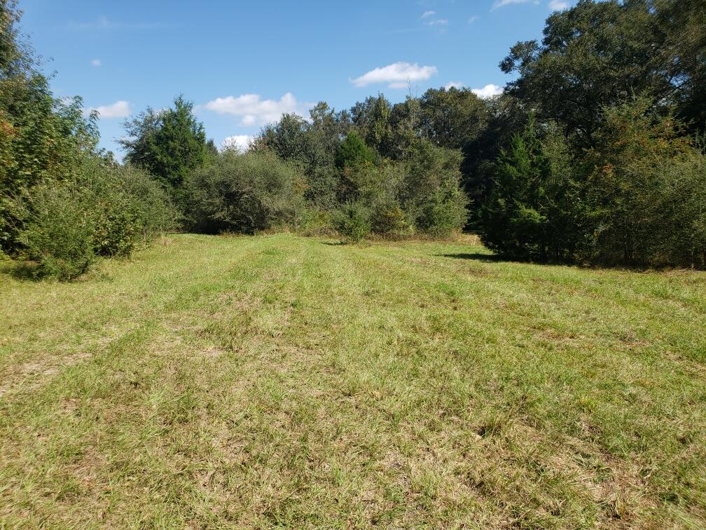Located in North Walton County this 38 plus acres would make the ideal location to build your dream home and surround yourself with some privacy. Property is located on a paved road, chelco power is available and easily accessible, and seller has a recent survey. (survey markers are easy to be seen) Property has no restrictions so you can make this your own perfect getaway! Rear portion of property is zoned A but front has tons of areas that are great for homesites. Tons of wildlife and deer are through the property! Grab this one today before it is SOLD!