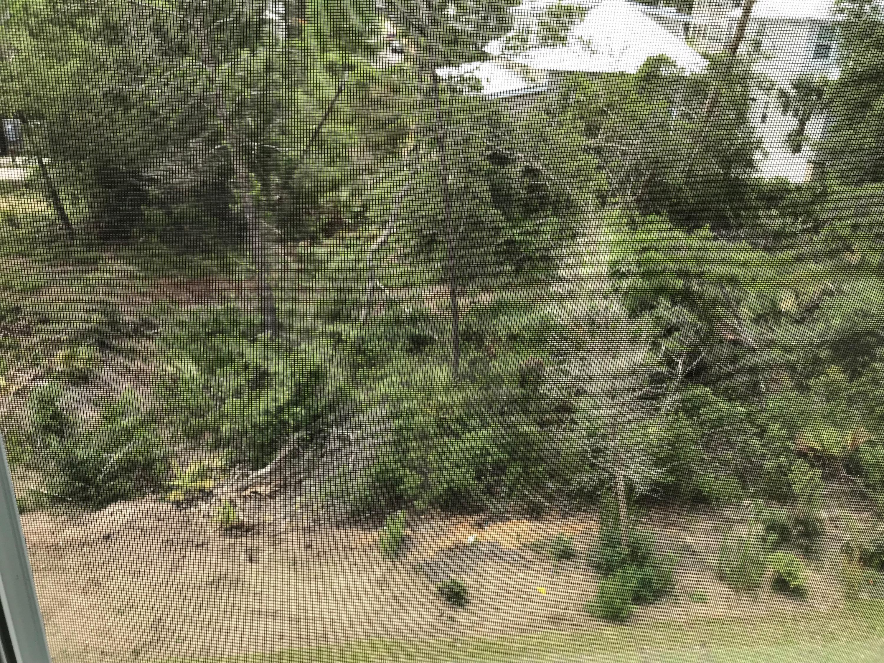 GRANDE POINTE AT INLET BEACH - Residential