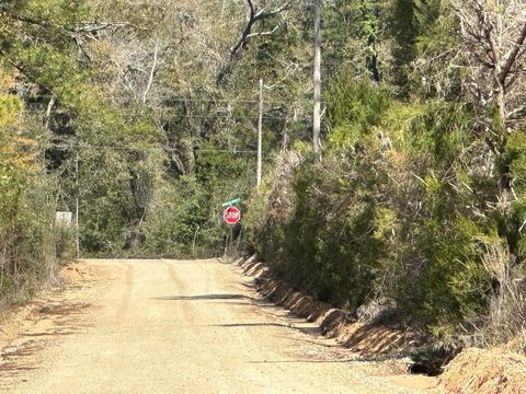 Photo of Tract#6418 NE Mattox Springs Road, Caryville, FL 32427 (MLS # 984097)