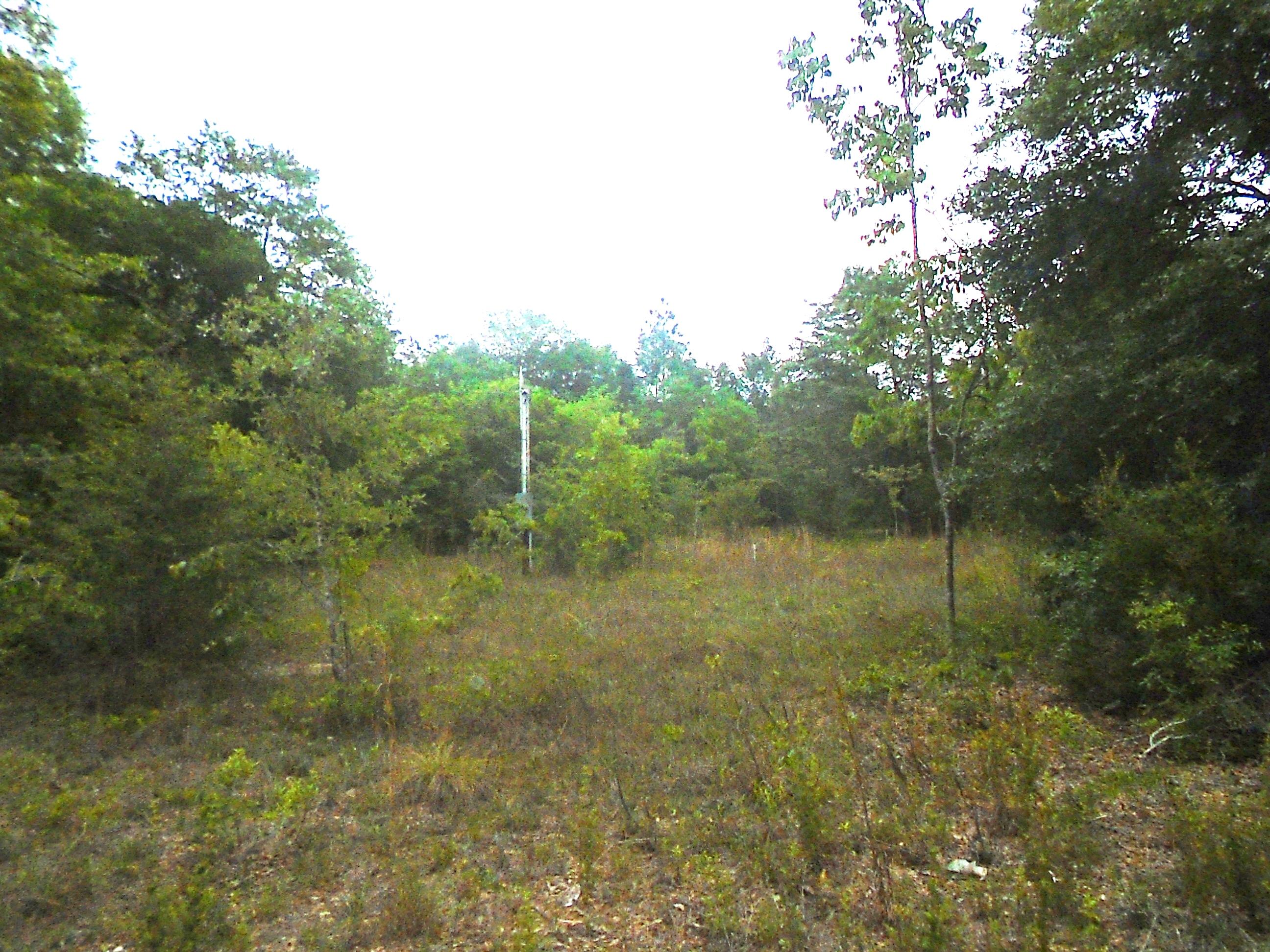 Country acre perfect for a manufactured home. Previously had a small mobile home on it. Electrical pole is still there. It is believed there was a well and septic tank. Seller has no idea of the condition and is selling as-is. Front of the parcel is open with the back wooded. Road is crushed asphalt.