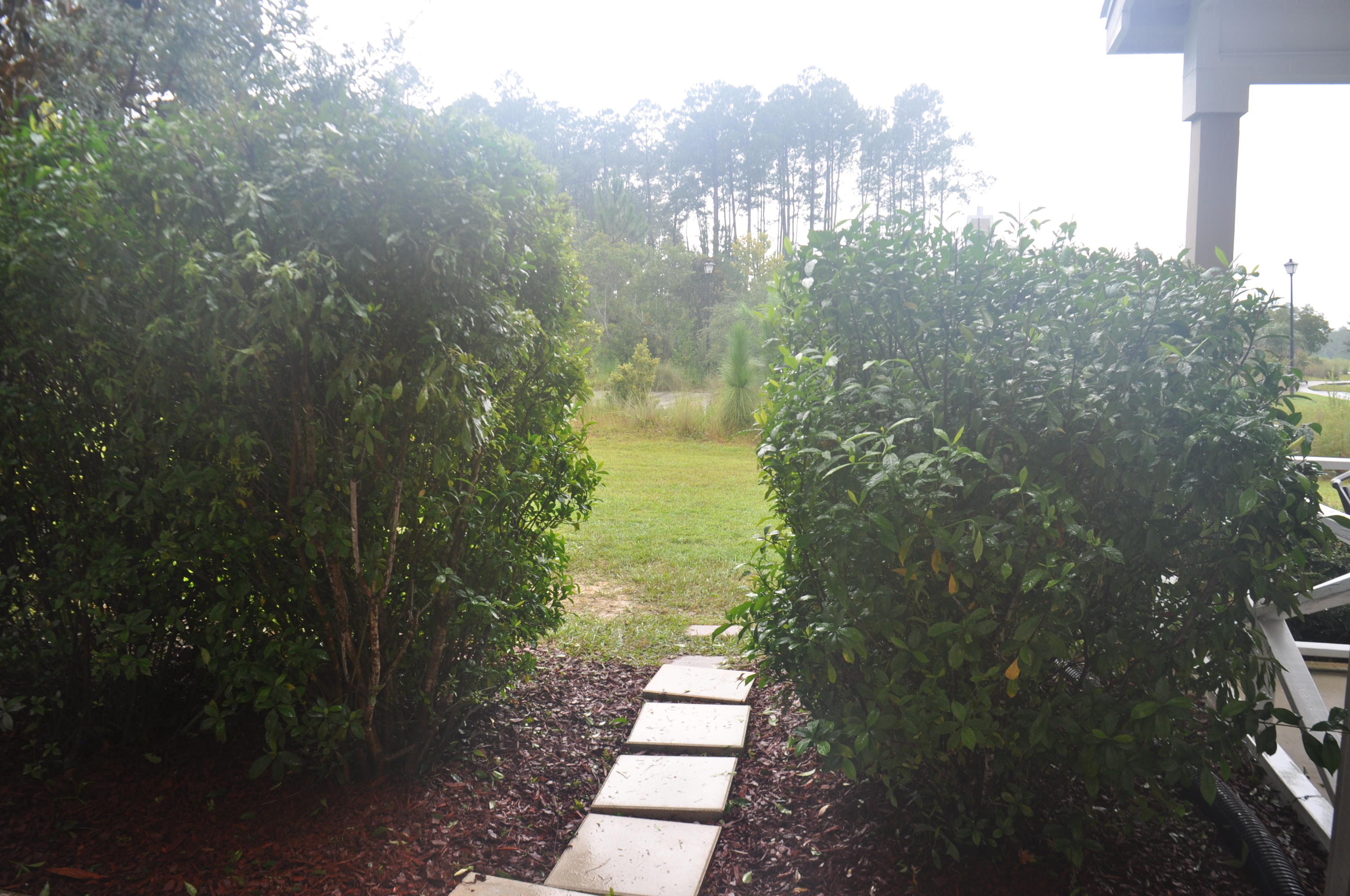 VERANDAS OF FREEPORT, THE - Residential Lease