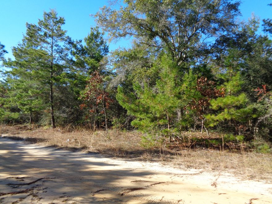 1 acre wooded lot North of DeFuniak Springs.Perfect for building your new home or a new manufactured home. New parcel ID will need to be established. Lot has been surveyed. Lot being sold as is. Buyer to perform all due-diligence.