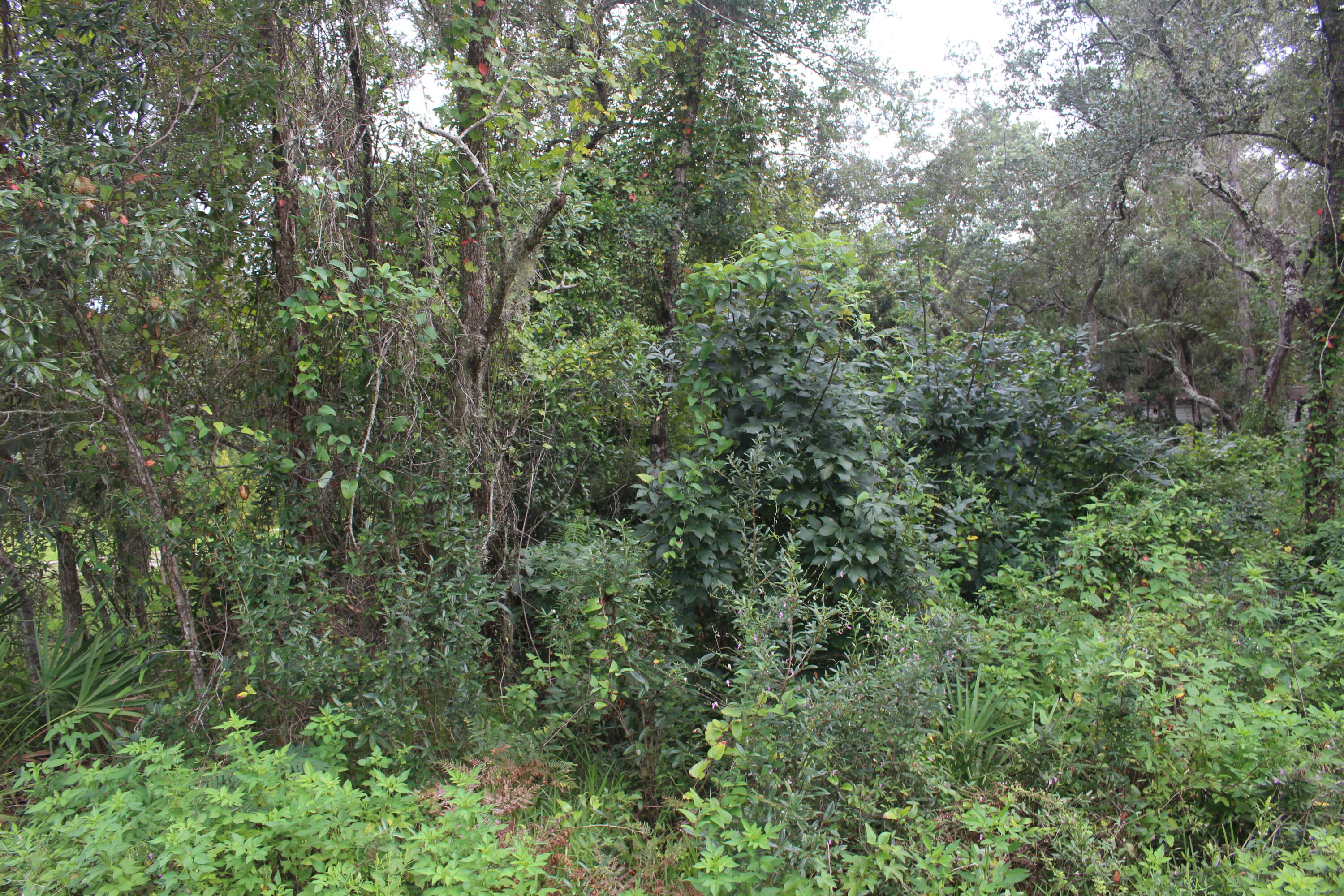 METES & BOUNDS - Land