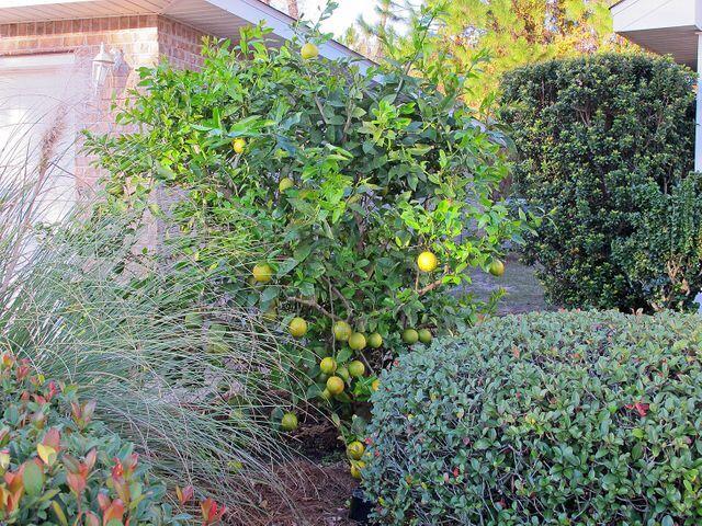 MARSH HARBOR - Residential