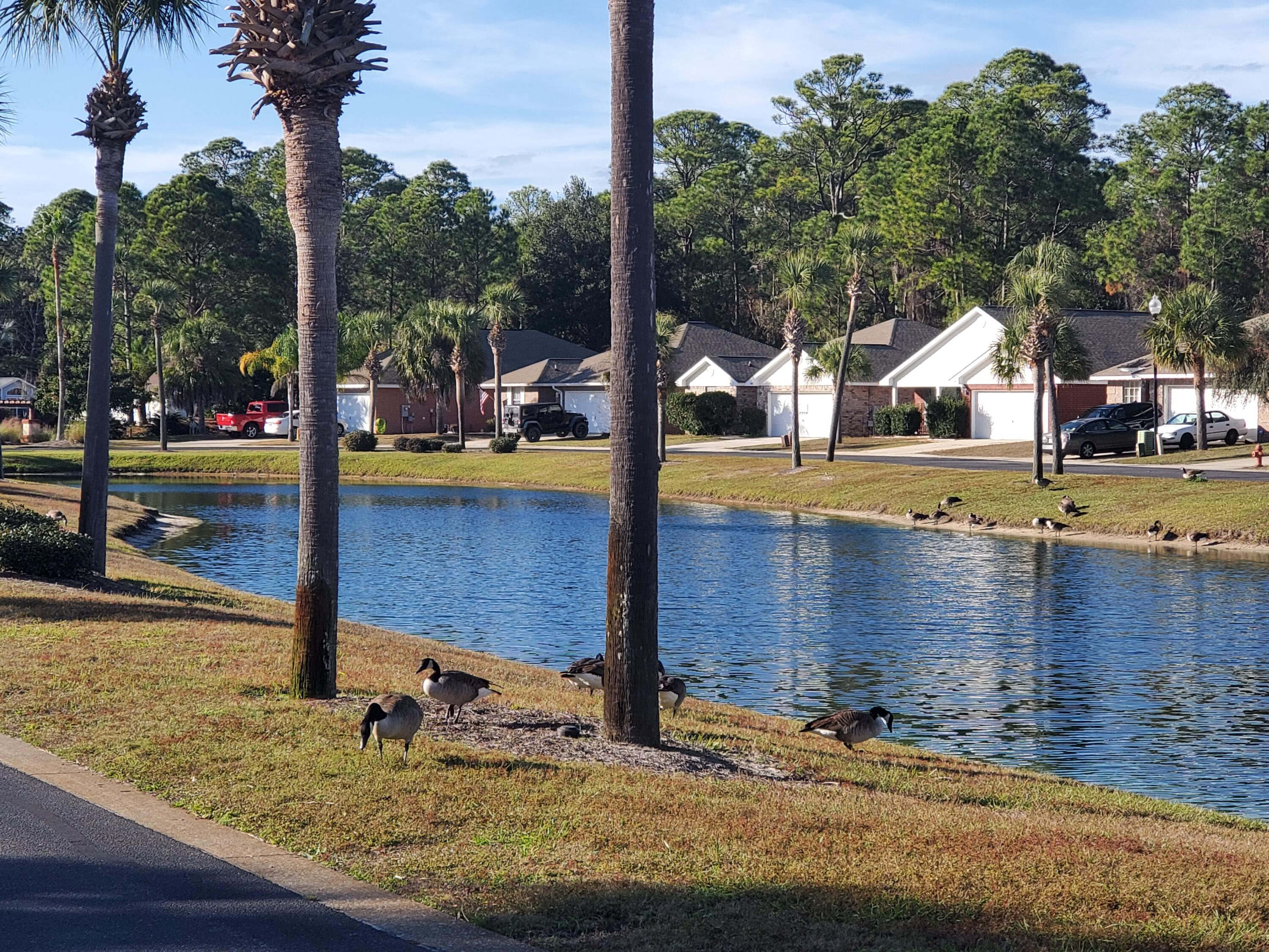 MARSH HARBOR - Residential