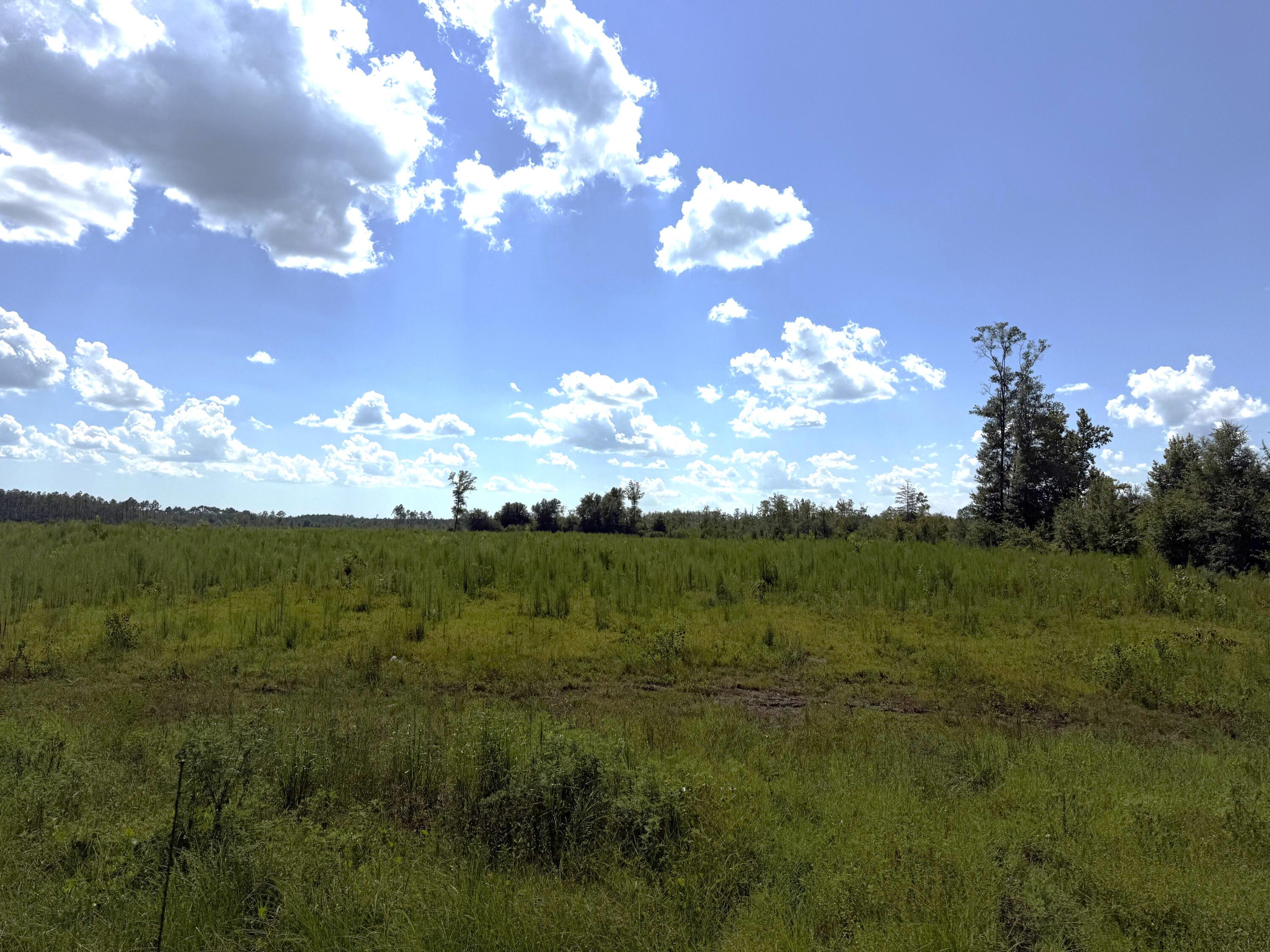 Two acres just 2 miles south of Wewahitchka with many possibilities. City water is adjacent to the property and other parcels are available as well. A rare opportunity to have substantial acreage at a great price near the city.