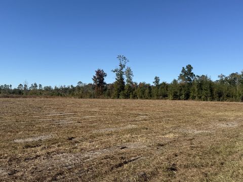 Photo of Lot 1 Hwy 71, Wewahitchka, FL 32465 (MLS # 985611)