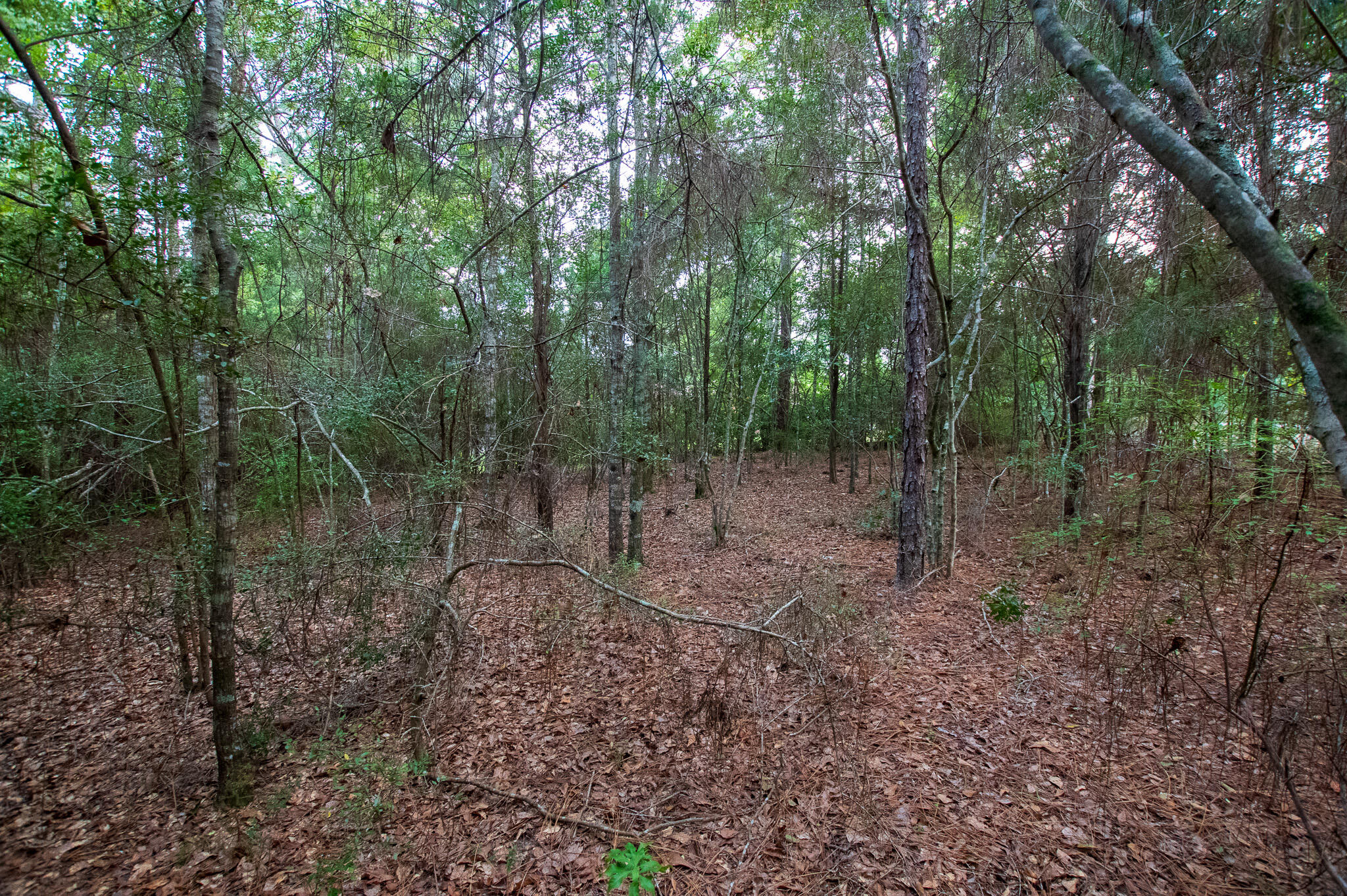 Ten Lakes Estate - Land
