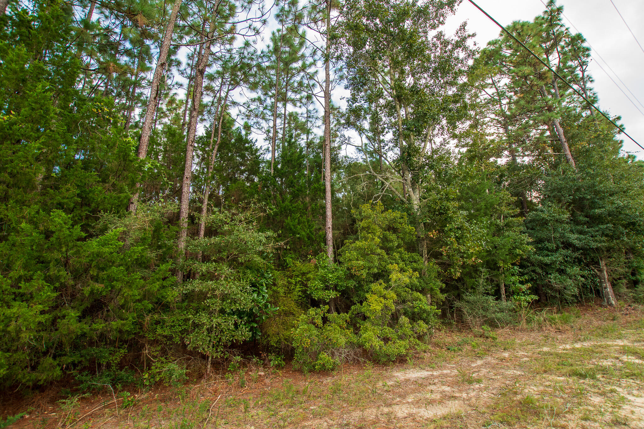 Ten Lakes Estate - Land