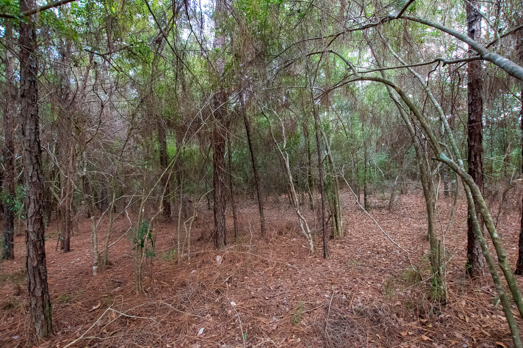 Ten Lakes Estate - Land