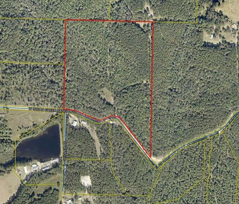 48 Acres Indian Creek Ranch Road DeFuniak Springs FL 32435