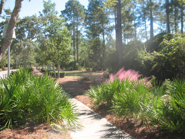 WaterColor - Residential