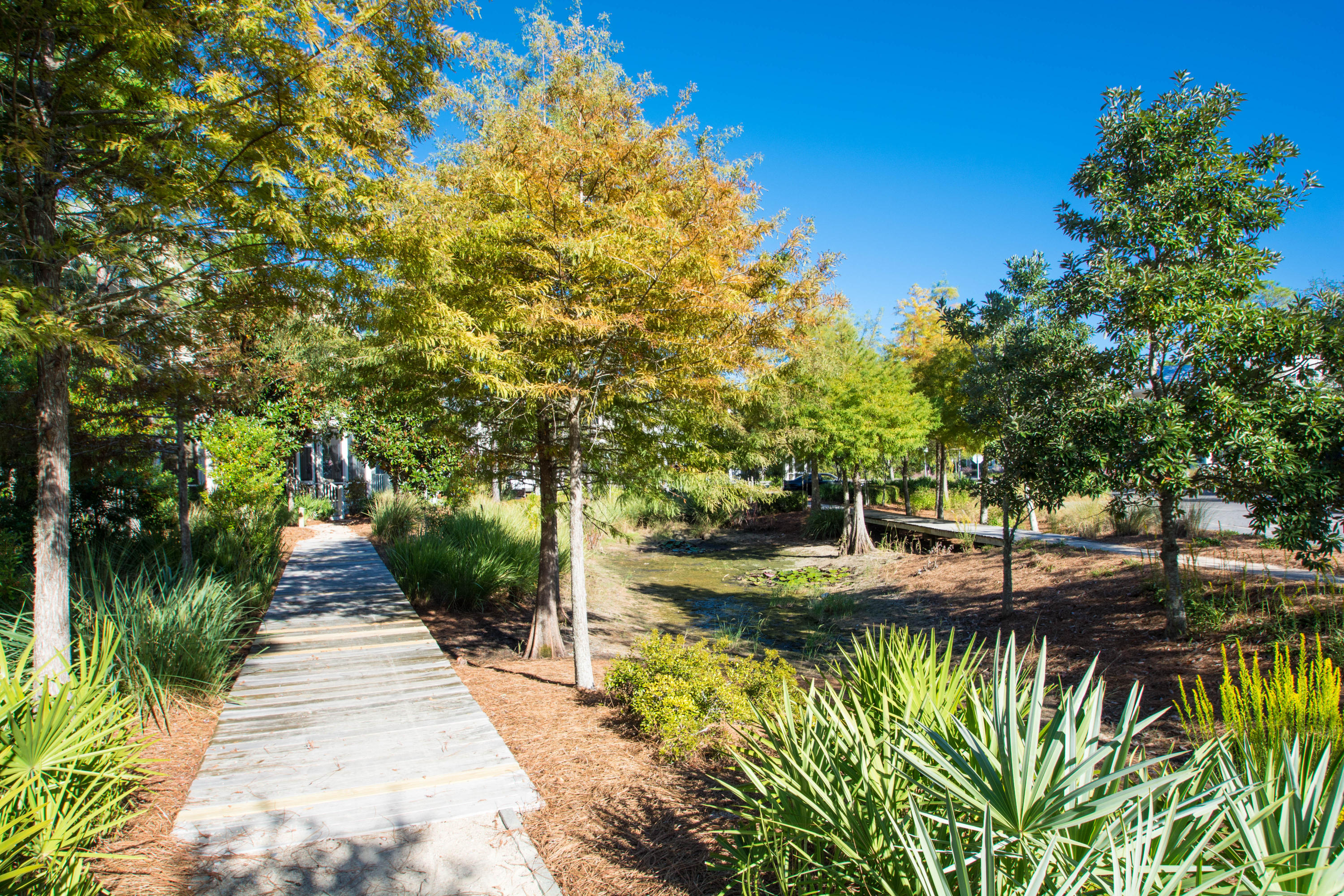WaterColor - Residential