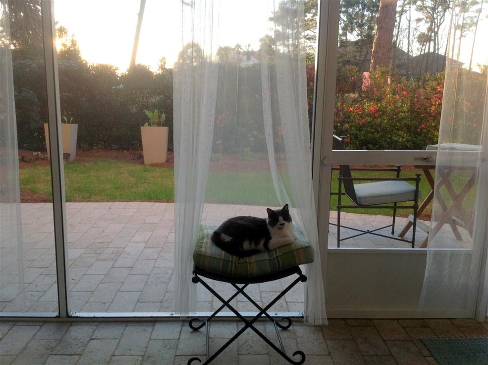 SUNSET BEACH - Residential