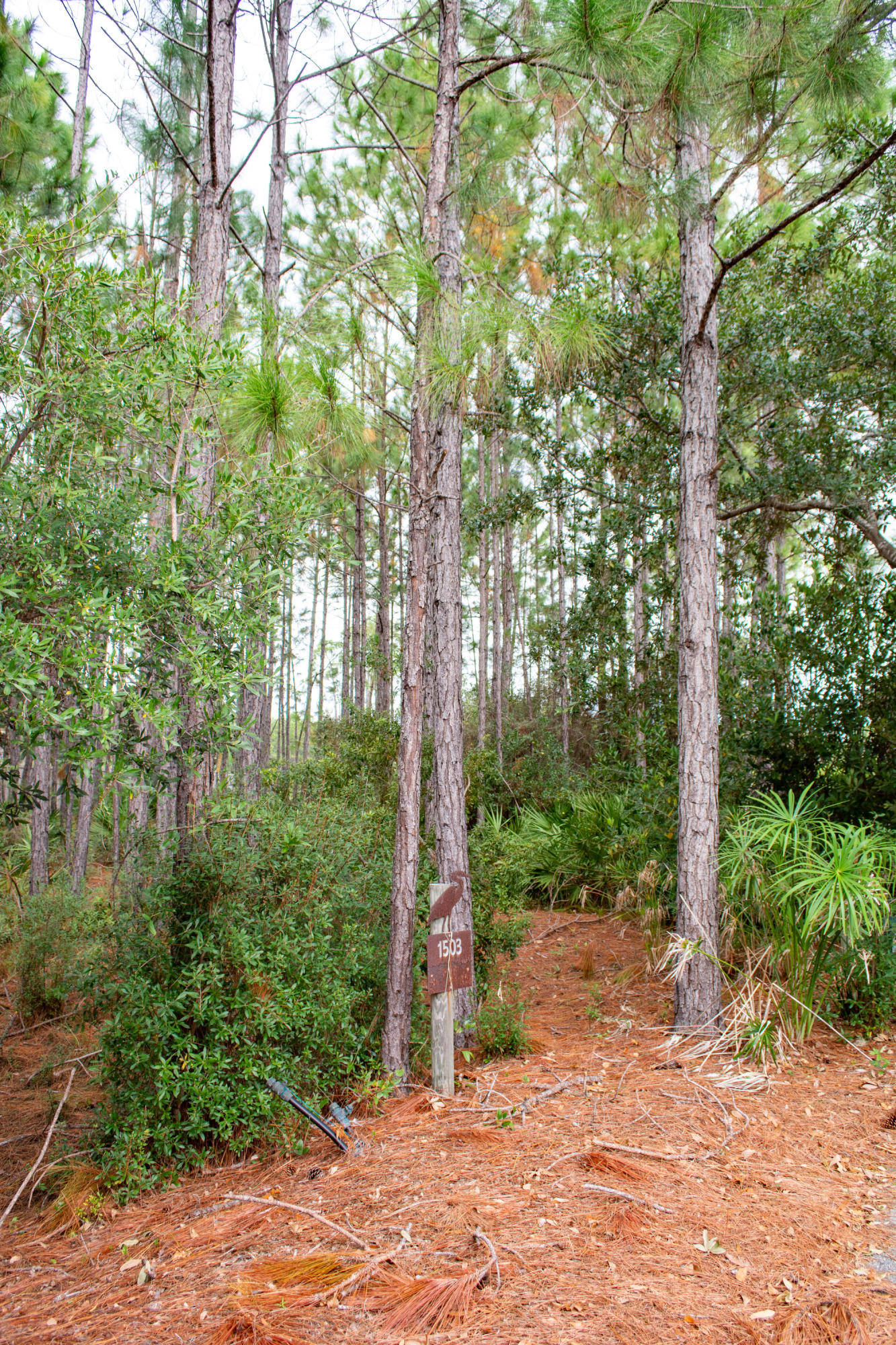 WILD HERON PHASE I - Land