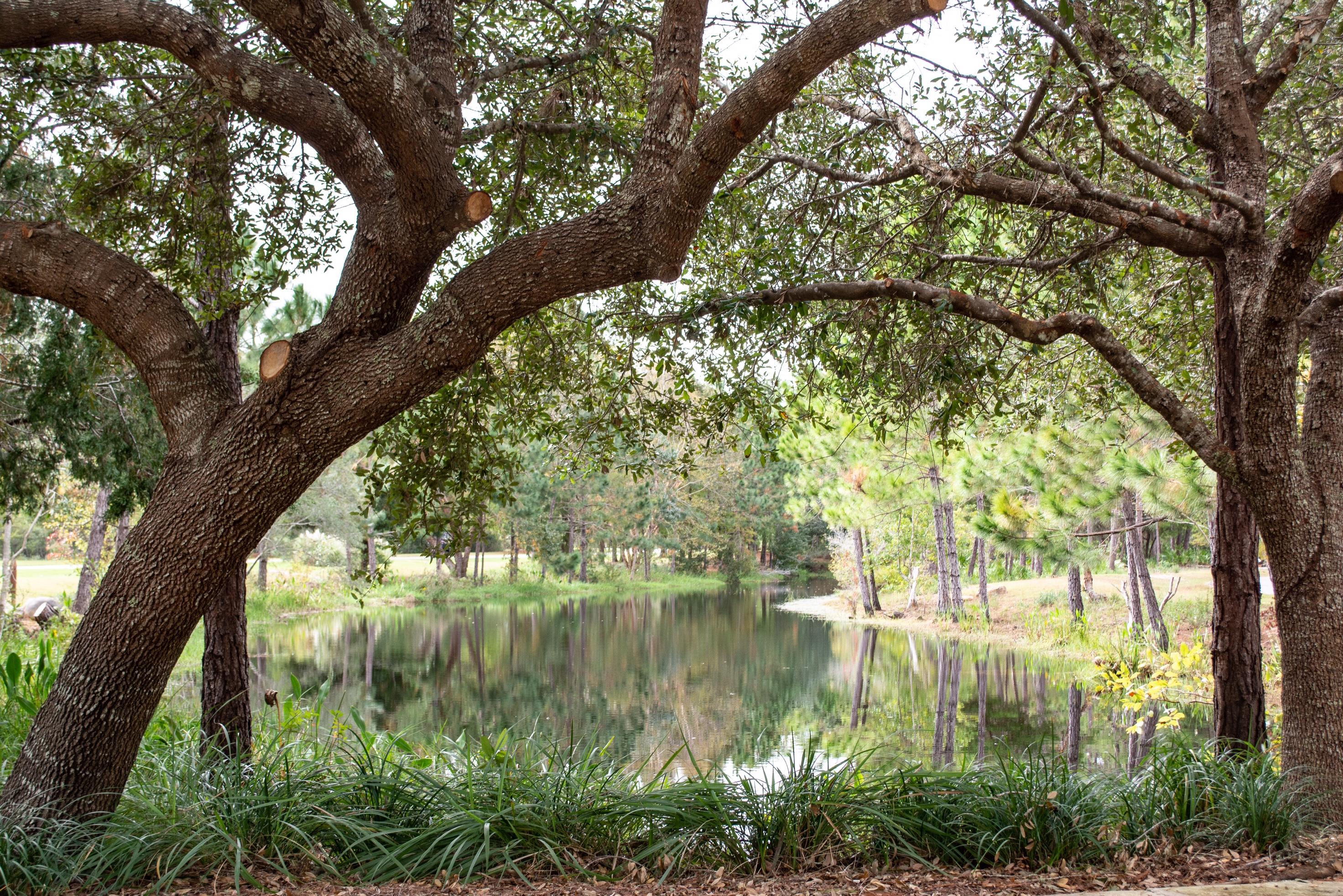 WILD HERON PHASE I - Land