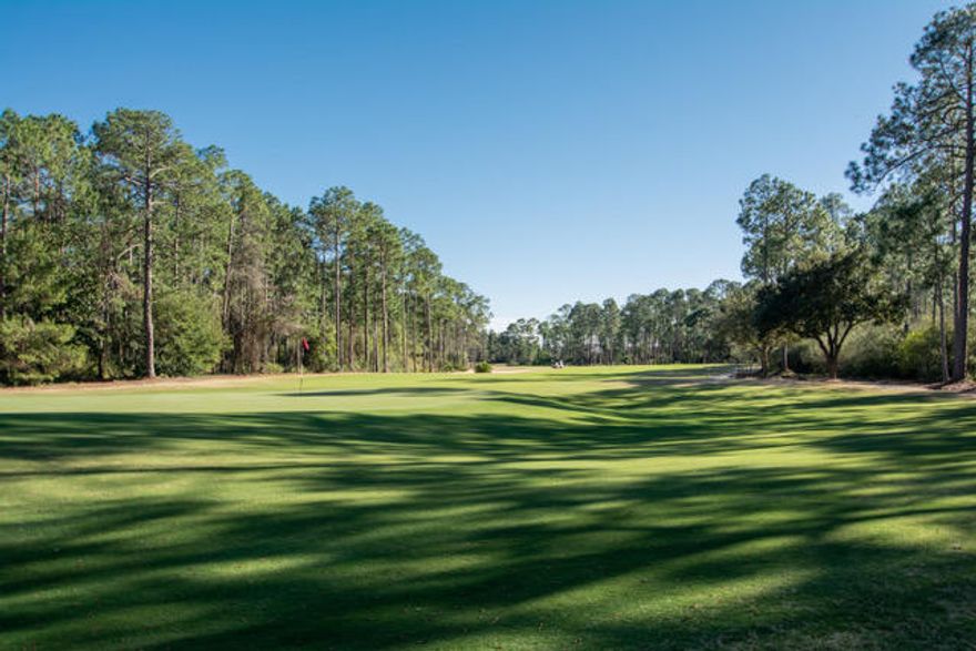 THIS PROPERTY IS PRICED TO SELL! Don't miss this opportunity to own a golf course view lot and build your dream home in fabulous Wild Heron! This prime lot offers golf course views and backs up to a nature preserve allowing the ultimate in privacy! This is Bay Counties most prestigious, gated community offering all the amenities you would expect from a world class golf community including a fitness center, community pool, community kayaks, canoes, boat docks, access to lake Powell and magnificent custom homes!