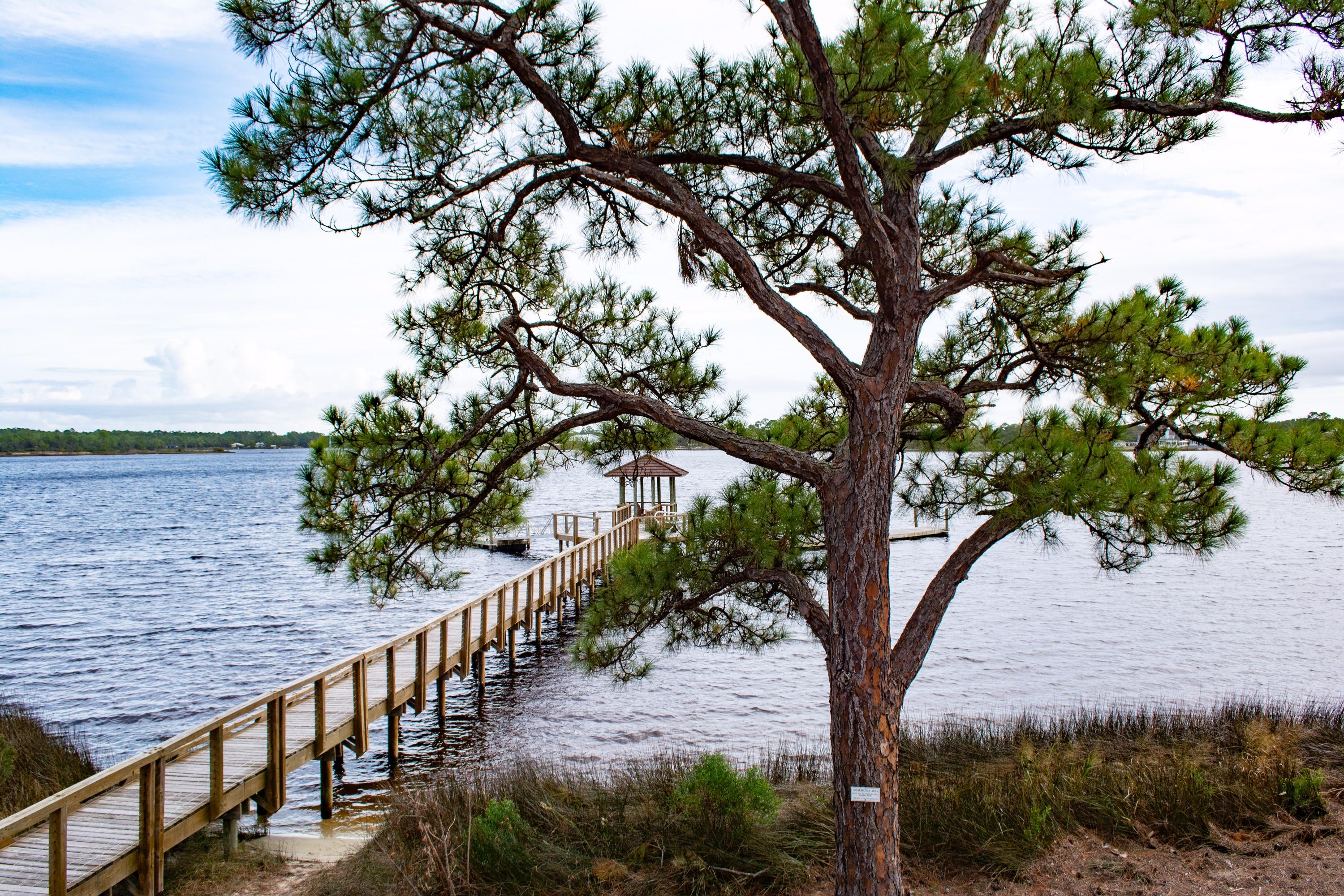 WILD HERON PHASE I - Land