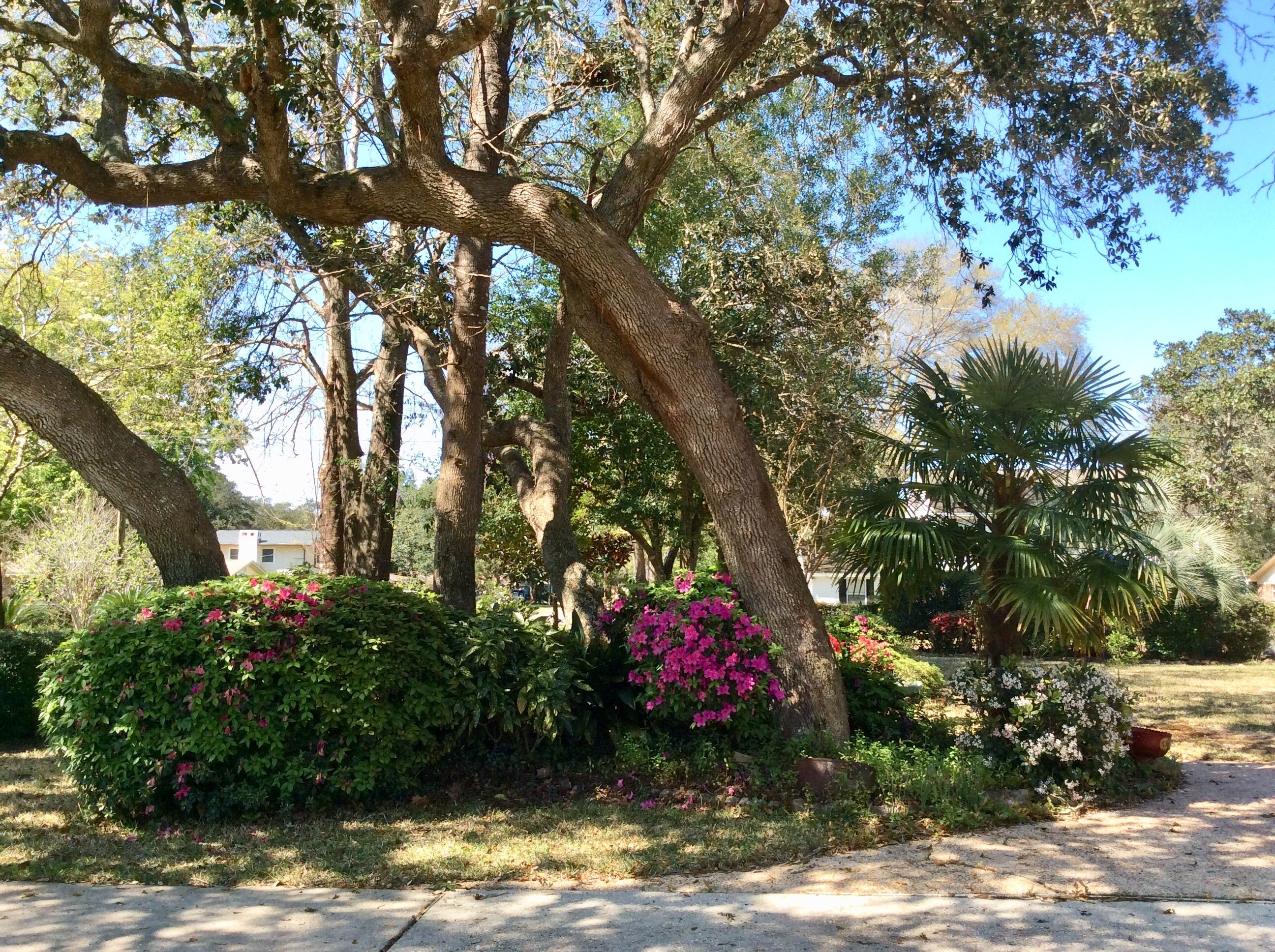 GARNIERS HEIGHTS 1ST ADDN - Residential