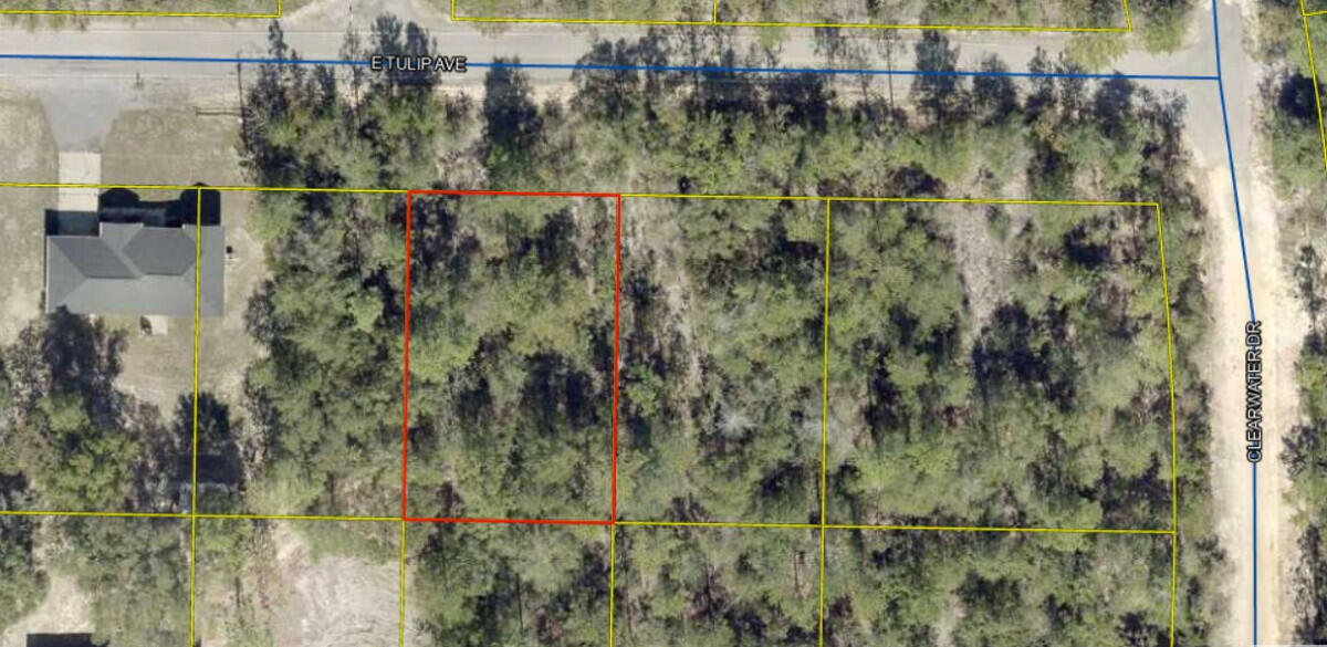 Looking for Privacy and Seclusion! Beautifully wooded lot approx .23 acres between DeFuniak Springs FL and Mossyhead. No HOA and Minimal Restrictions. City Water available. Power available at the road, Septic required. Convenient to all things! Beaches, Eglin AFB, DeFuniak Springs, and Crestview are all close and an easy commute. Buyer to do all due diligence.