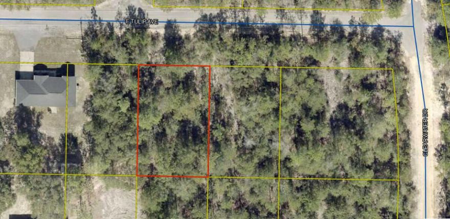 Looking for Privacy and Seclusion!  Beautifully wooded lot approx .23 acres between DeFuniak Springs FL and Mossyhead. No HOA and Minimal Restrictions. City Water available.  Power available at the road, Septic required. Convenient to all things! Beaches, Eglin AFB, DeFuniak Springs, and Crestview are all close and an easy commute.  Buyer to do all due diligence.
