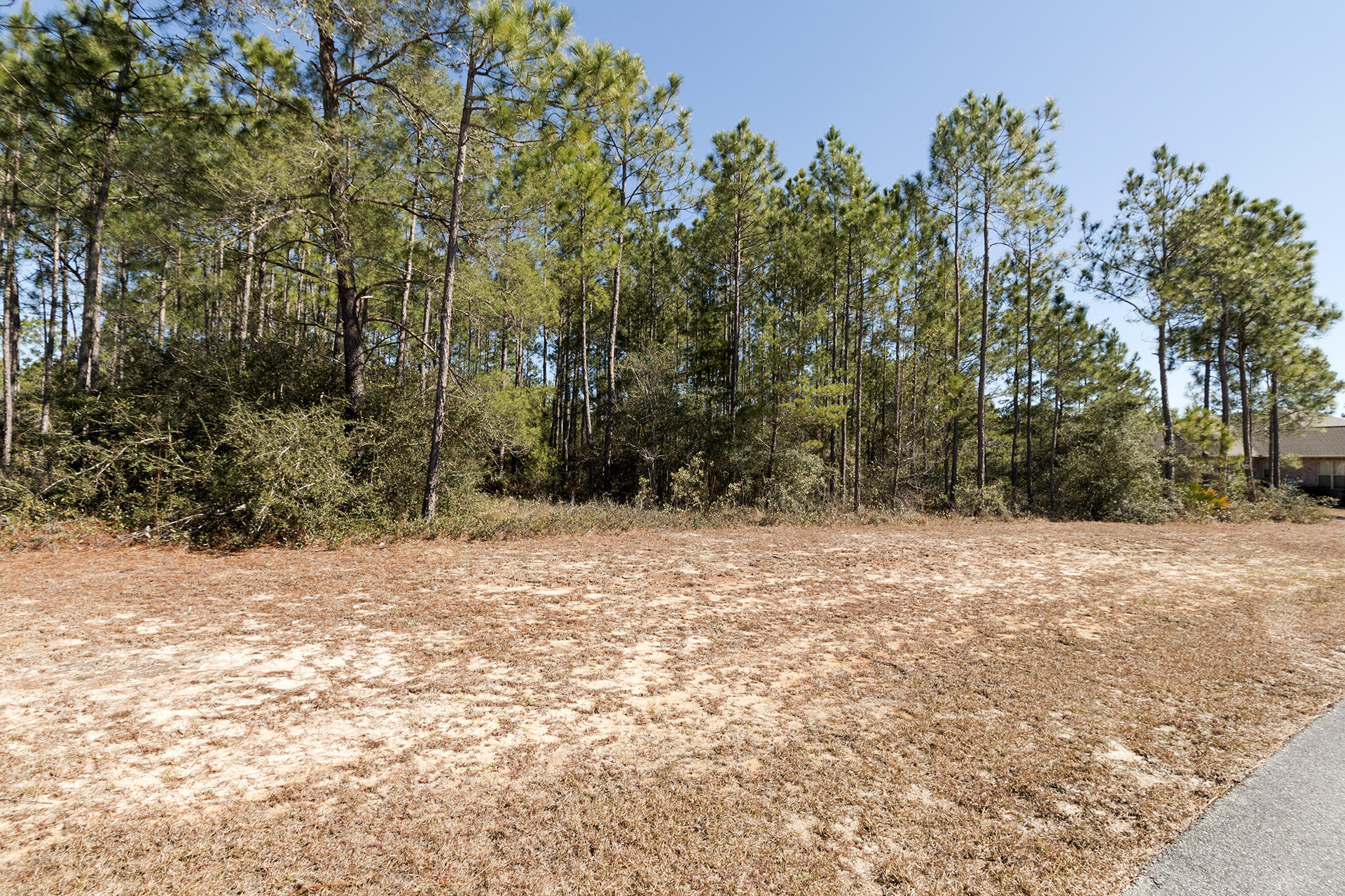 Great, .59 acre lot available in Windswept Estates. Windswept Estates is a residential golf community located on 750 acres. Only 25 minutes to Panama City International Airport and 30 minutes to the Beaches in Santa Rosa Beach or Panama City Beach. Windswept Dunes golf course features 18 holes. Amenities include community pool, pool house, basketball courts, tennis & nature trails. Build you dream home in this fantastic neighborhood.