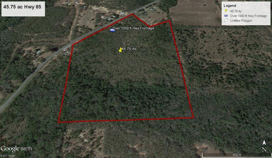 Great opportunity on this large parcel of land with over 1000ft of Hwy 85 frontage. Abundant wildlife and there appears to be a great running creek that runs across the entire back of property. Come to hunt or build your dream home or farm. A mix of large hardwoods and huge pines. Land is zoned Agriculture with no restrictions.