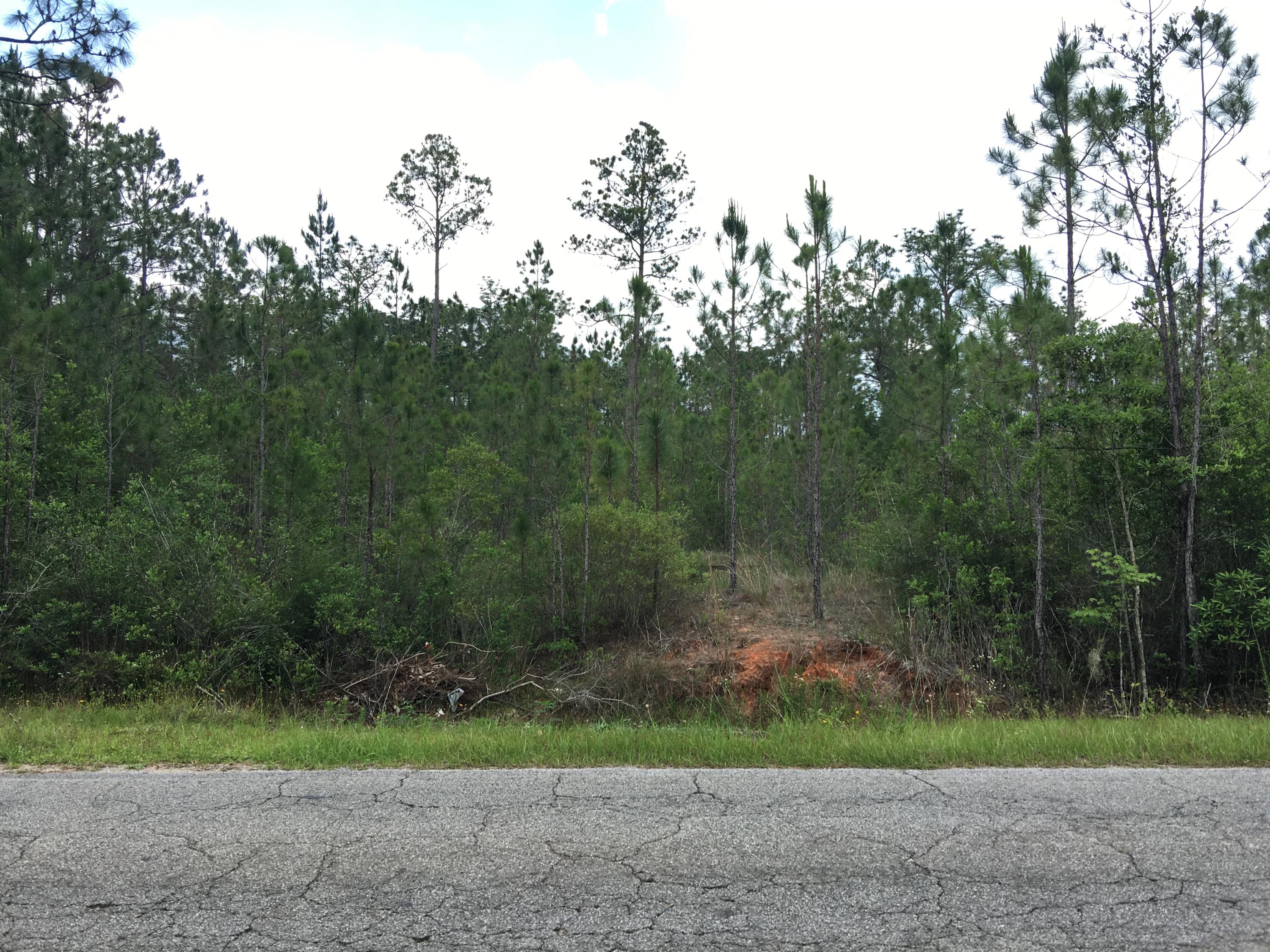 Great building lot, lot was cleared 2005. Previous seller had cleared the lot and started footer. Only about a mile from 1-10, couple of minutes to the public boat launch onto Escambia Bay. Quick drive to Hwy 90 to Milton & Pace. High lot.