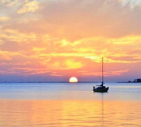 SEA PALM CONDO - Residential