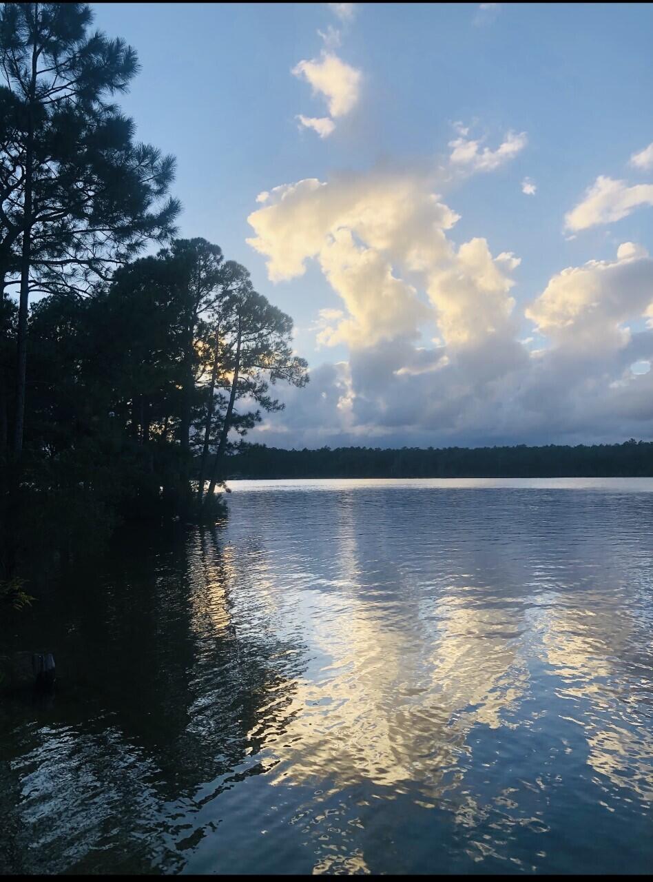 LONGWOOD S/D 1ST ADDN - Residential