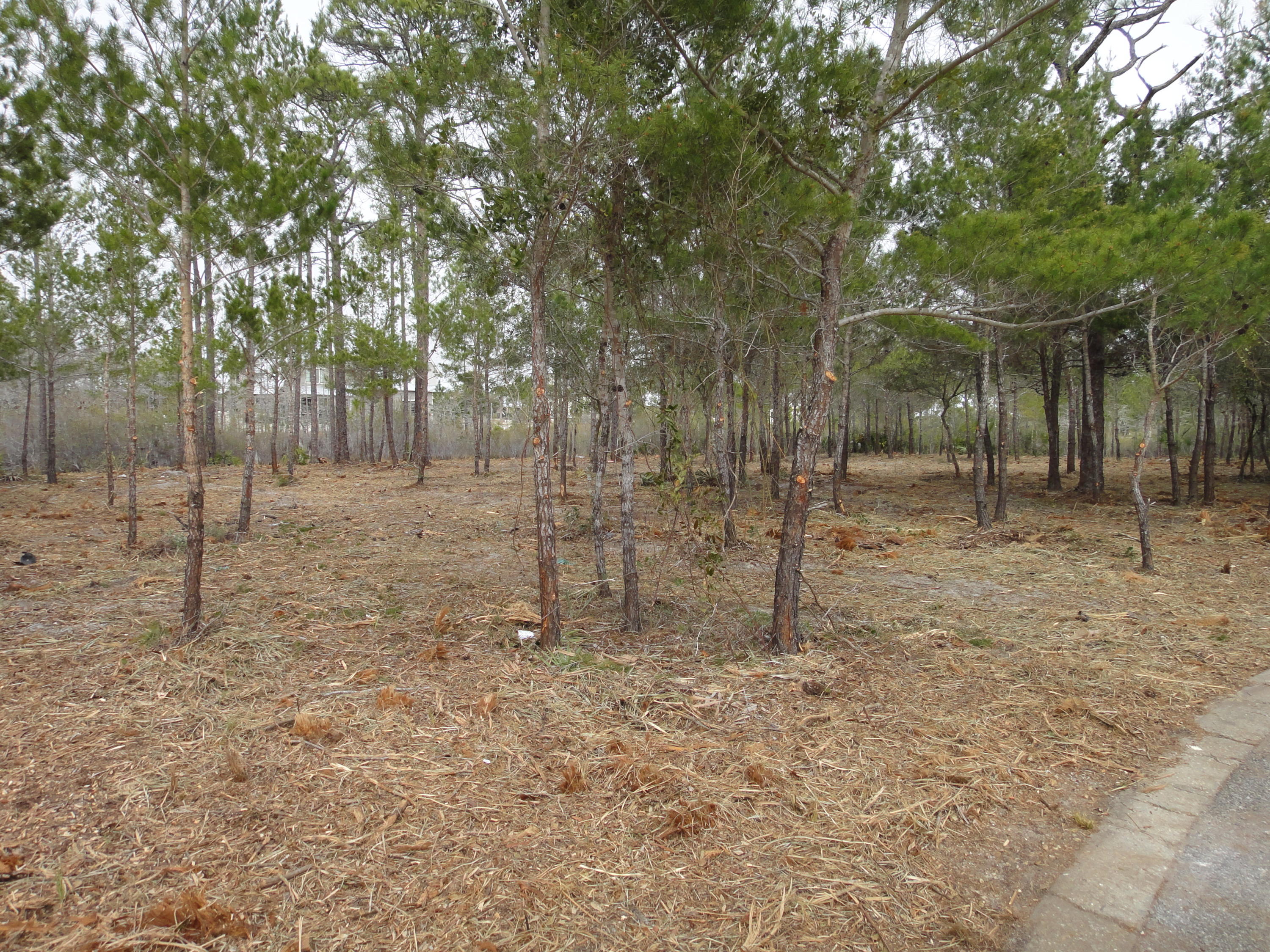 BEACHVIEW WOODS PH 2 - Land