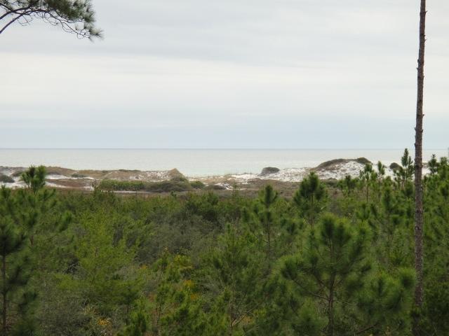 BEACHVIEW WOODS PH 2 - Land