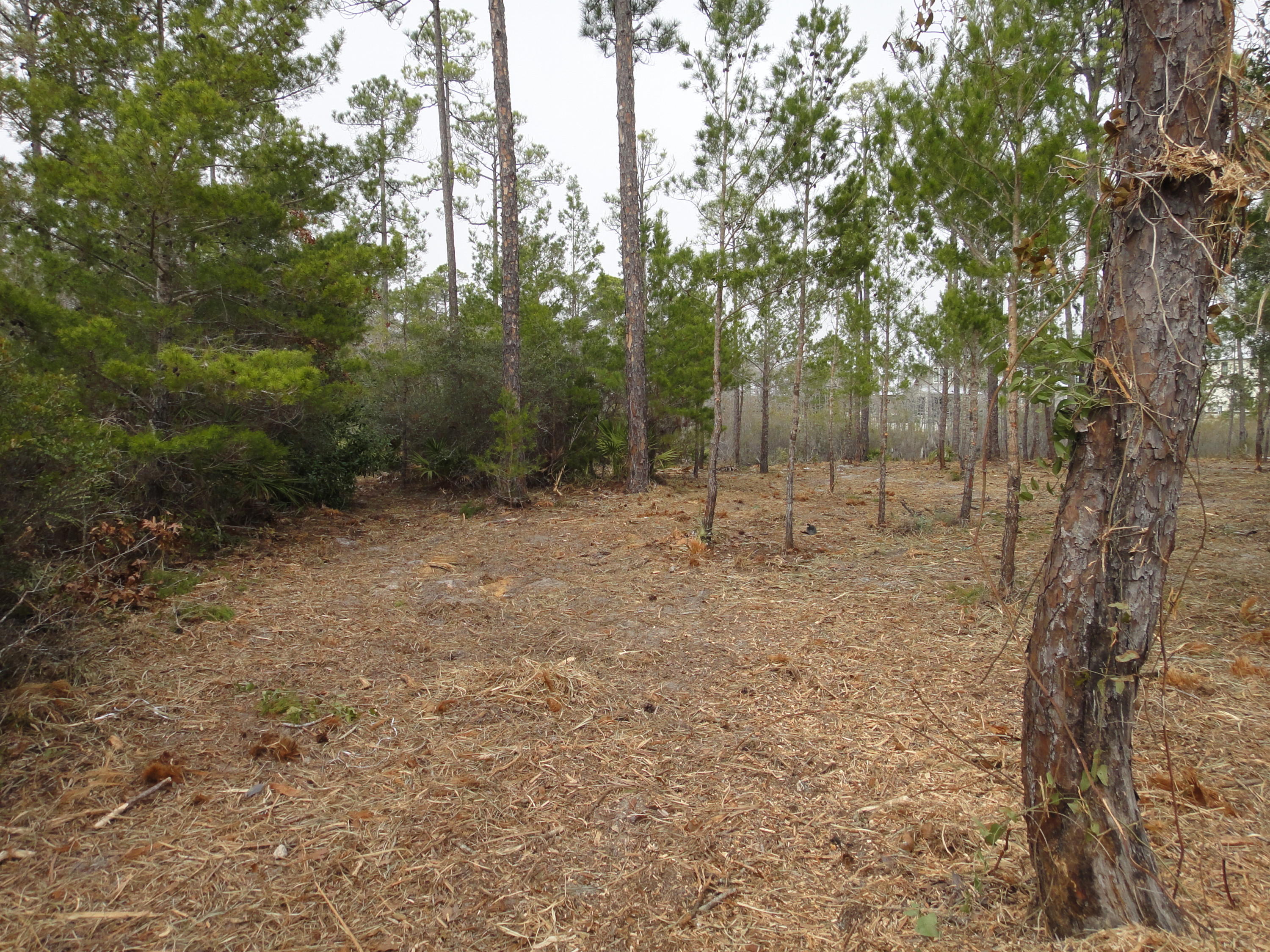 BEACHVIEW WOODS PH 2 - Land