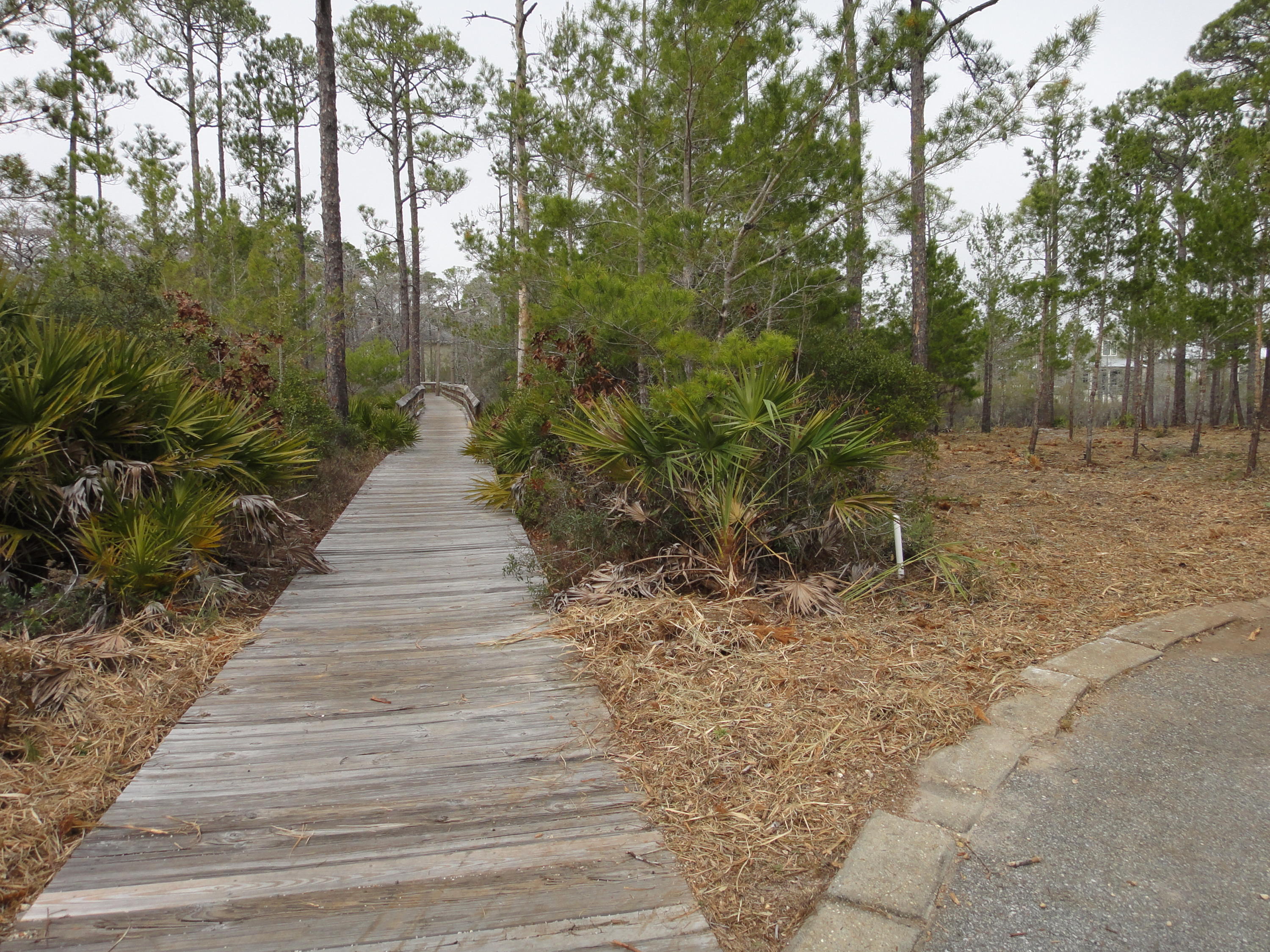 BEACHVIEW WOODS PH 2 - Land