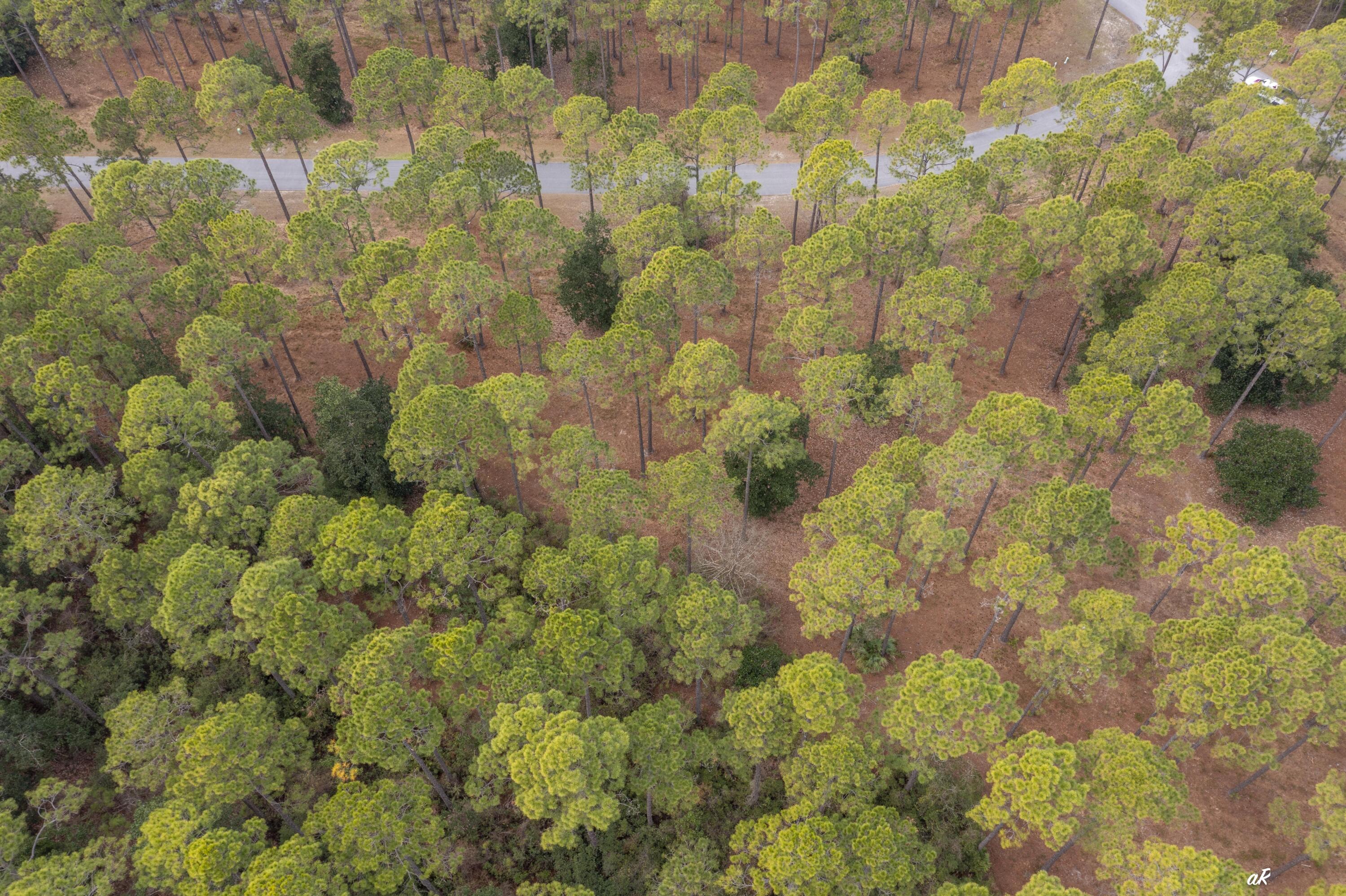 RIVERCAMPS ON CROOKED CREEK PH 2 - Land