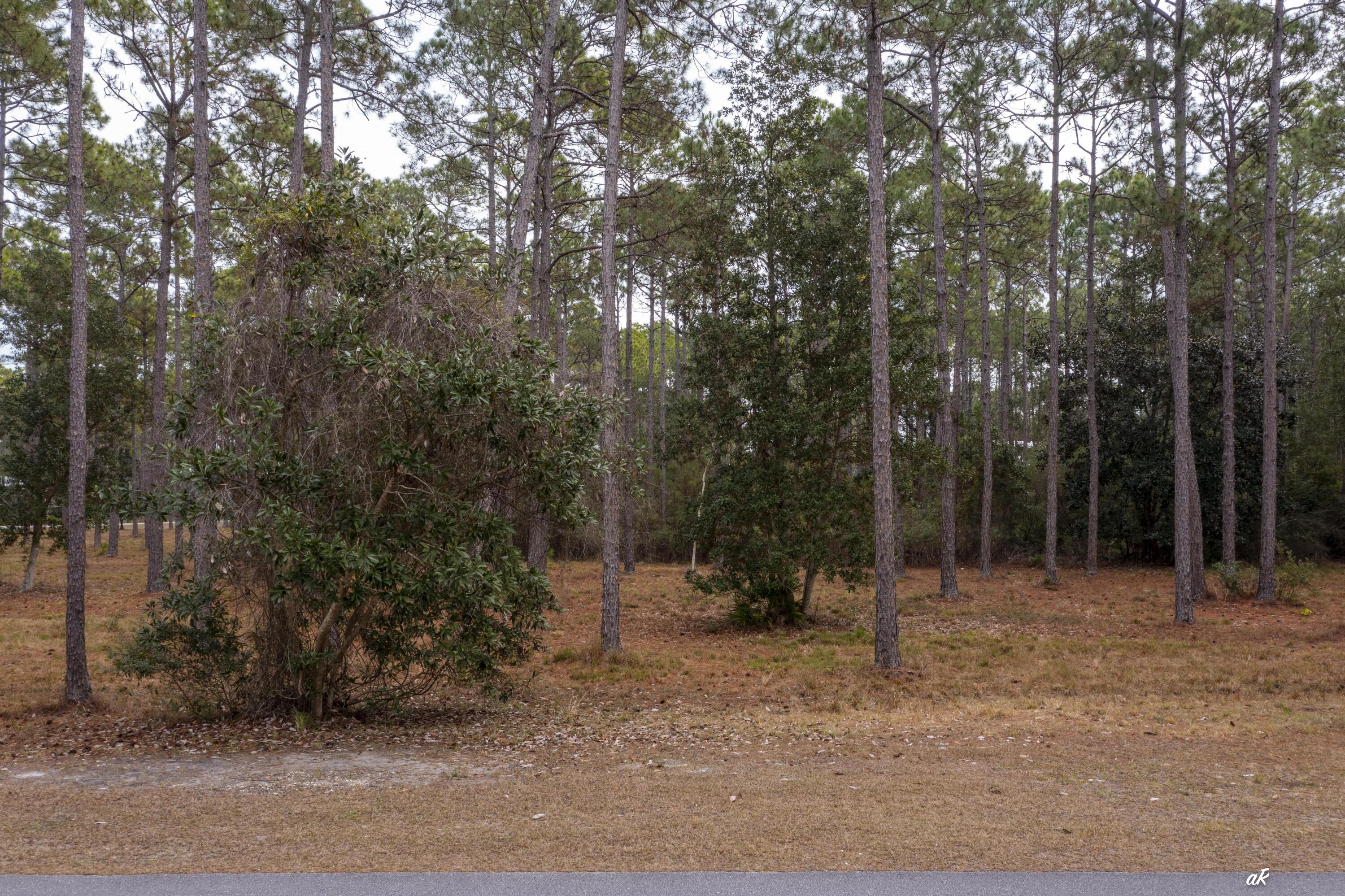 RIVERCAMPS ON CROOKED CREEK PH 2 - Land